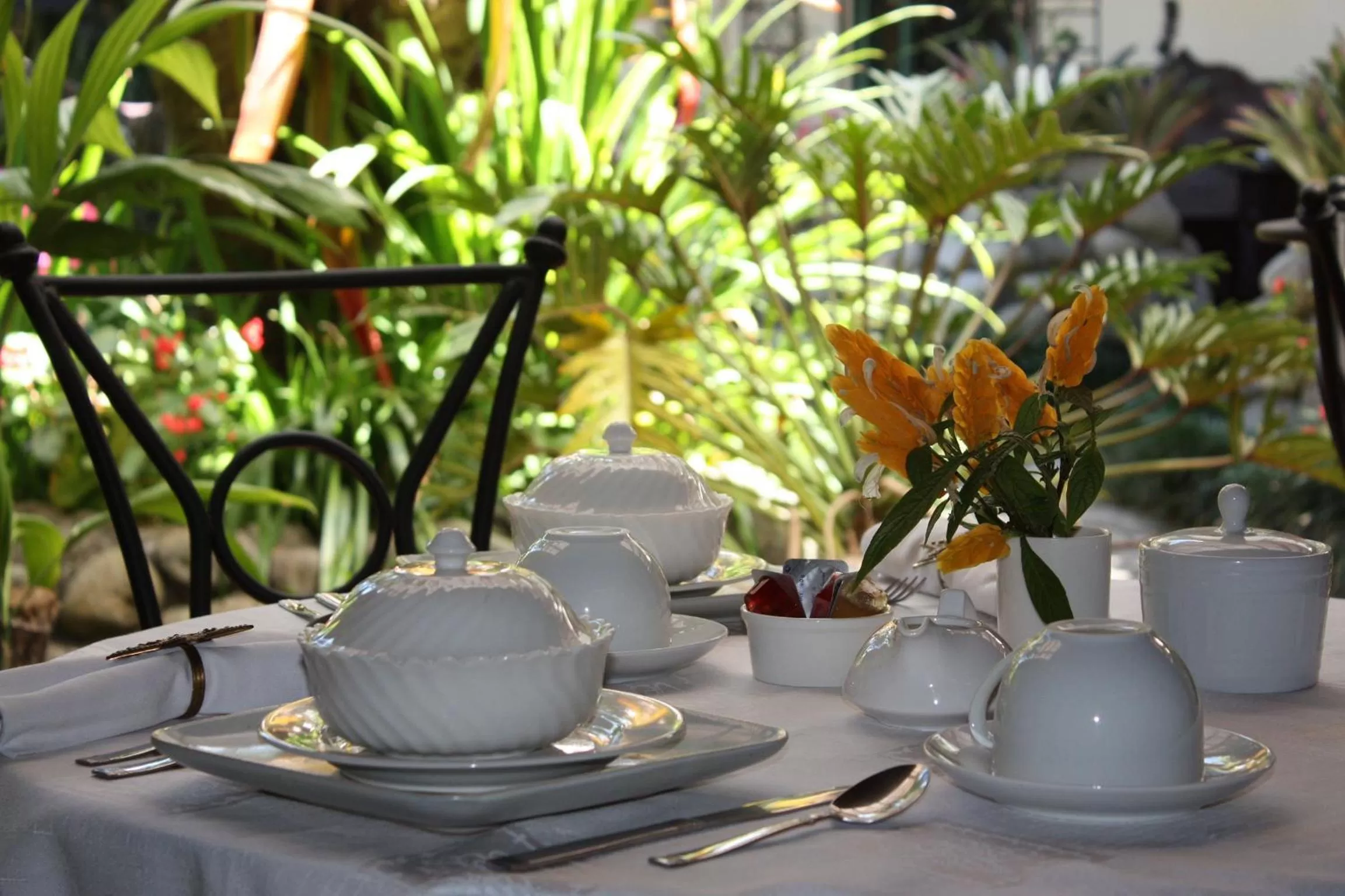 Coffee/tea facilities, Restaurant/Places to Eat in Tierra Magica B&B and Art Studio