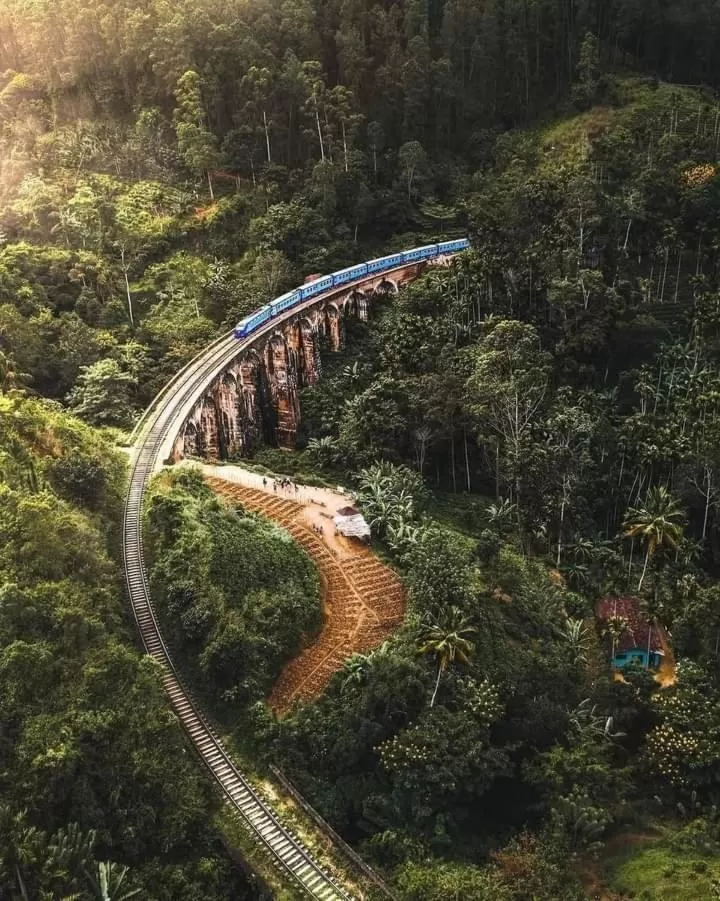 Ella Lucky Panoramic