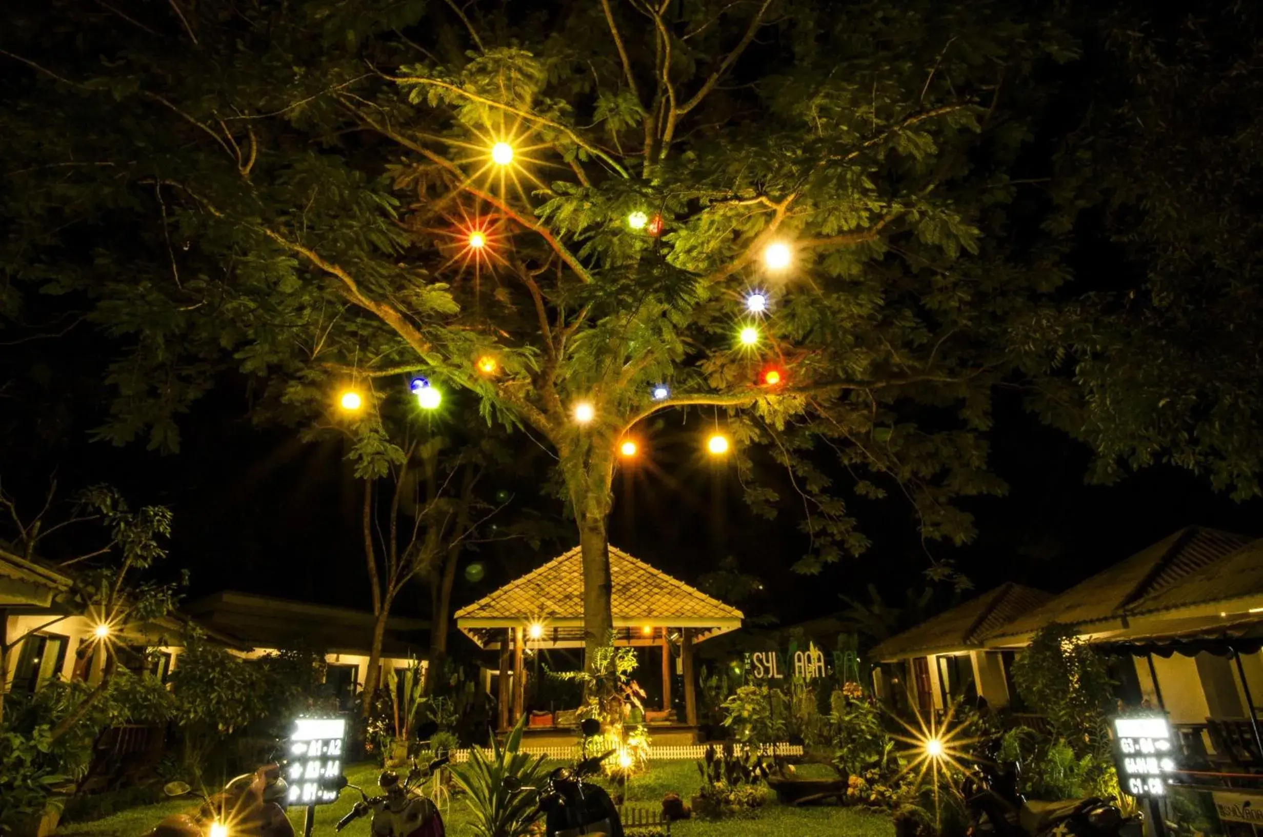 Garden, Property Building in The Sylvana Pai Hotel