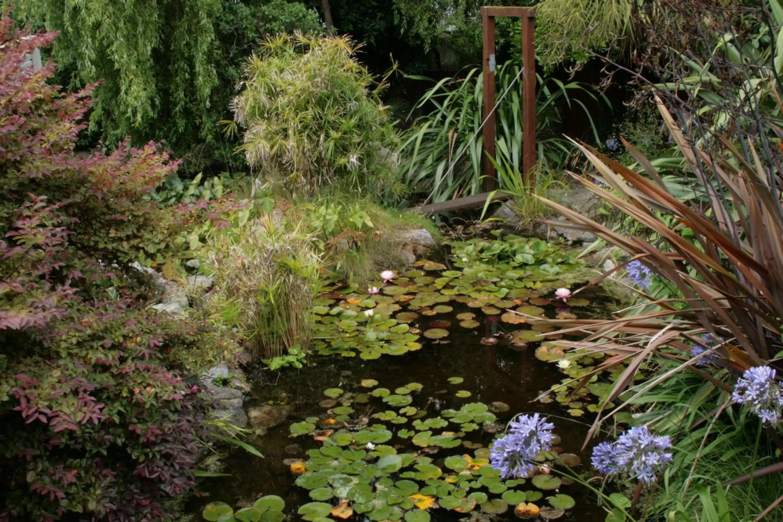 Garden in Joya Garden & Villa Studios