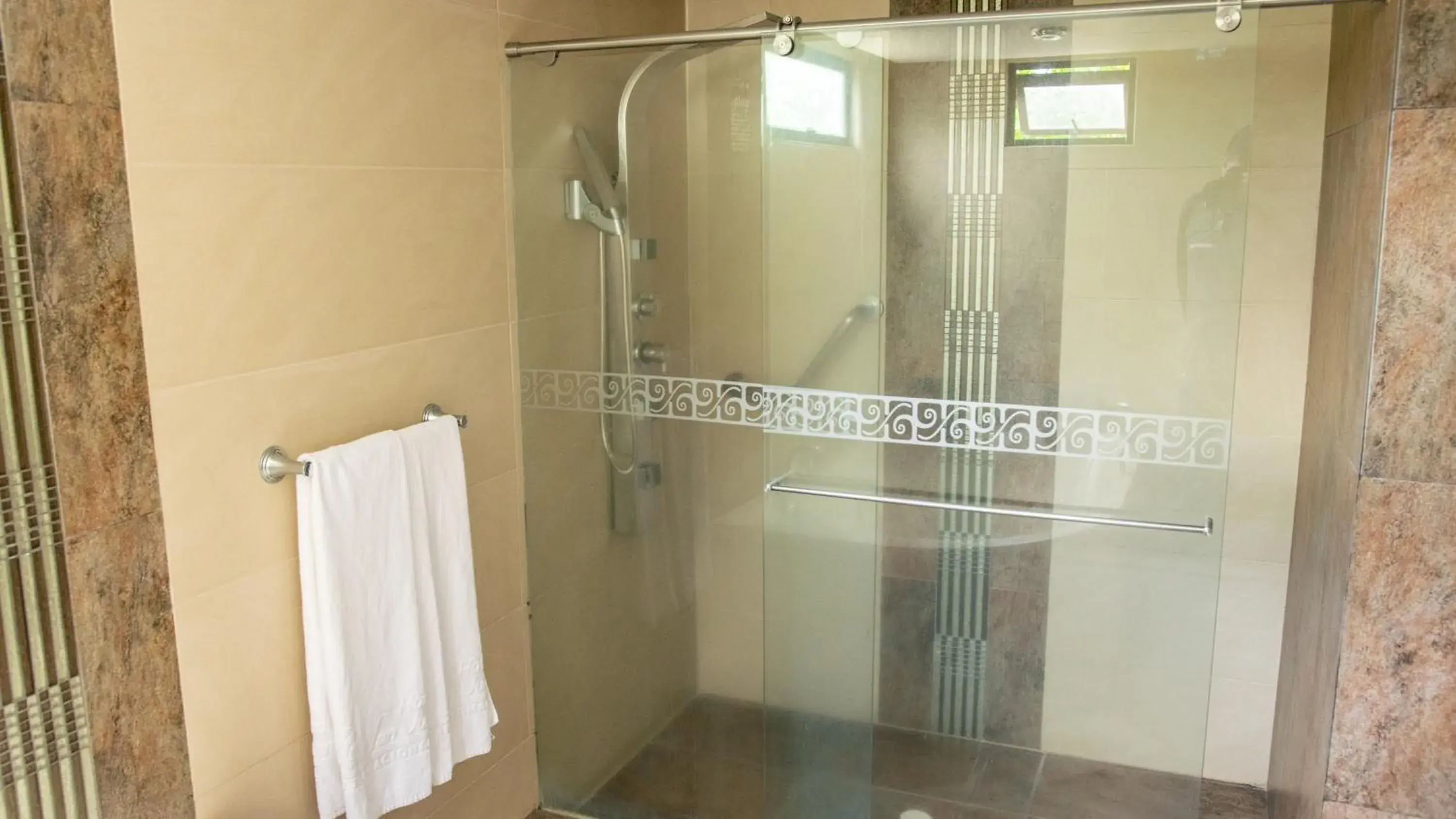 Shower, Bathroom in Hotel San Juan Internacional