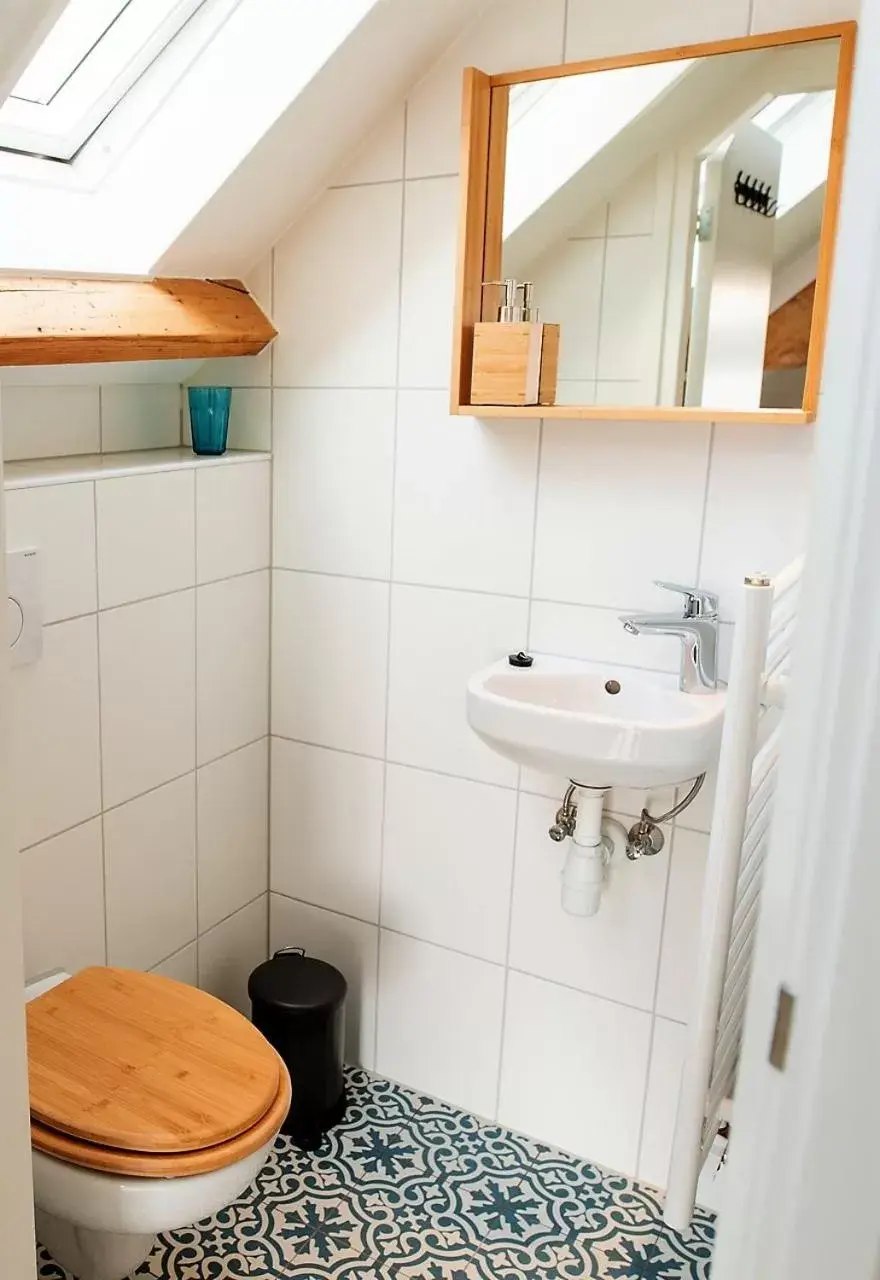 Toilet, Bathroom in sport B&B De Veluwezoom