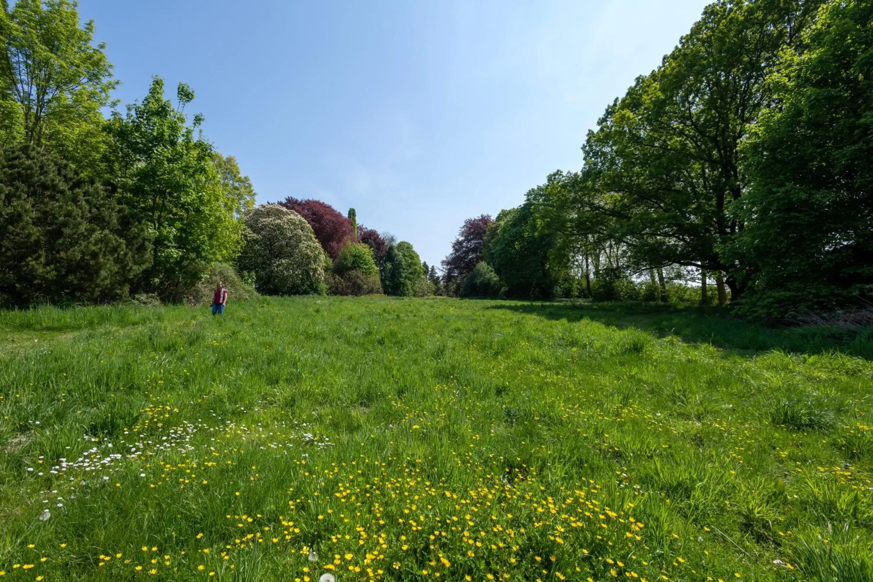 Natural Landscape in Martin's Rentmeesterij