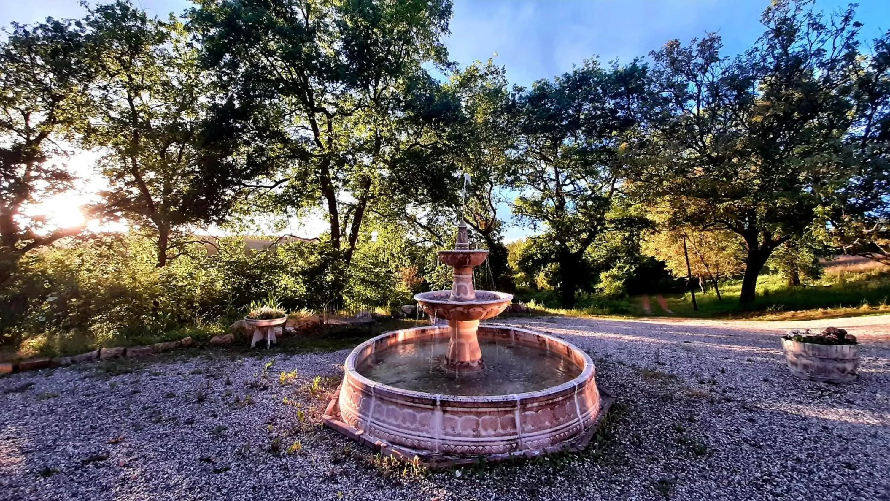 Natural landscape, Garden in Aux Tuileries Nord