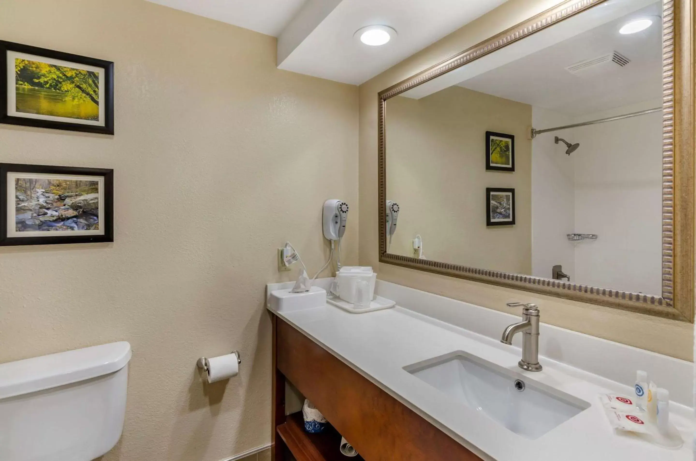 Photo of the whole room, Bathroom in Comfort Inn Waynesboro