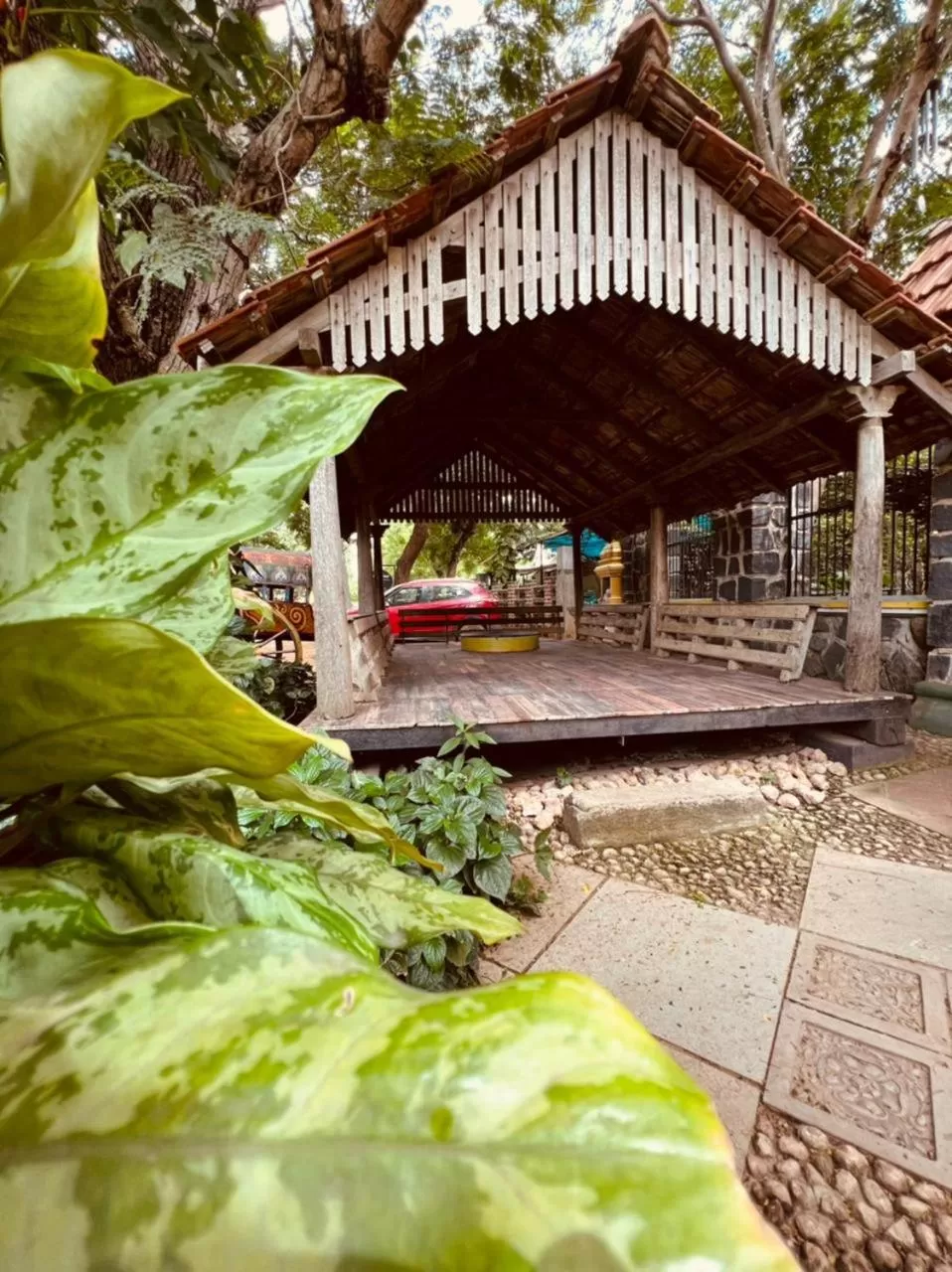 Property building in Green's Guest House