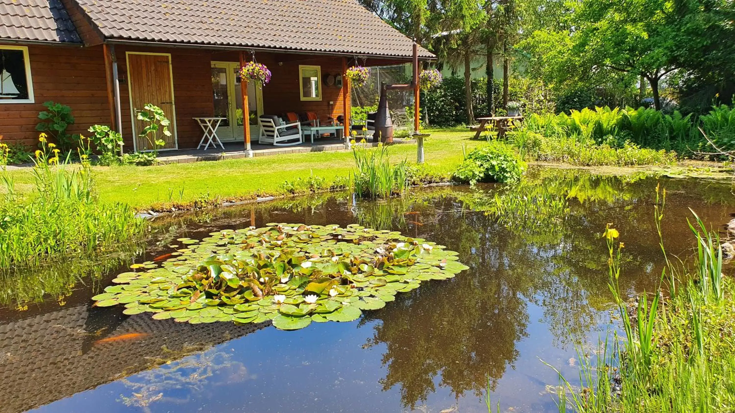 Garden in B&B Houtstee