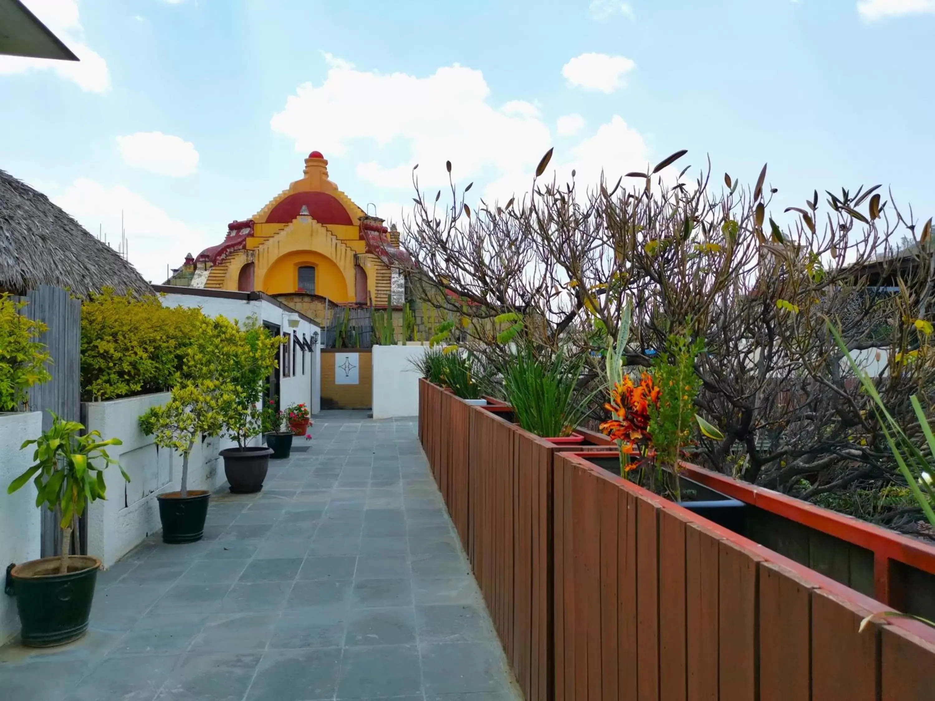 Garden view in Hotel Siglo XVII Art Gallery