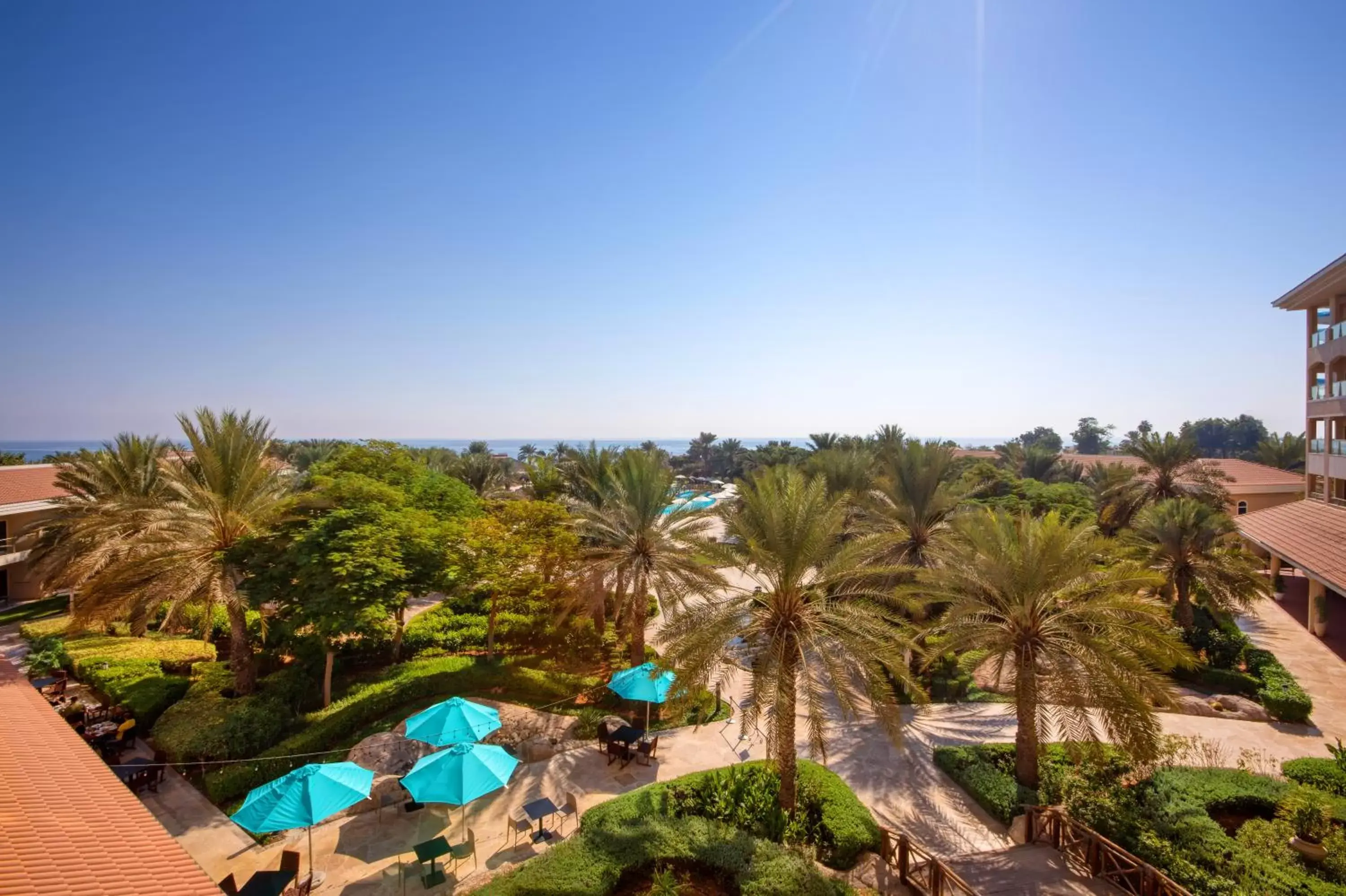 Garden view, Pool View in Fujairah Rotana Resort & Spa - Al Aqah Beach