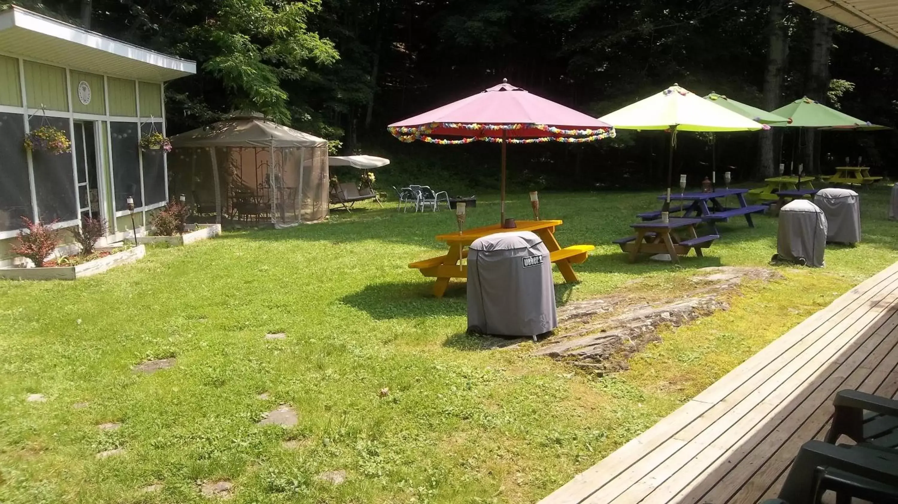 BBQ facilities, Garden in Starlite Motel & Suites