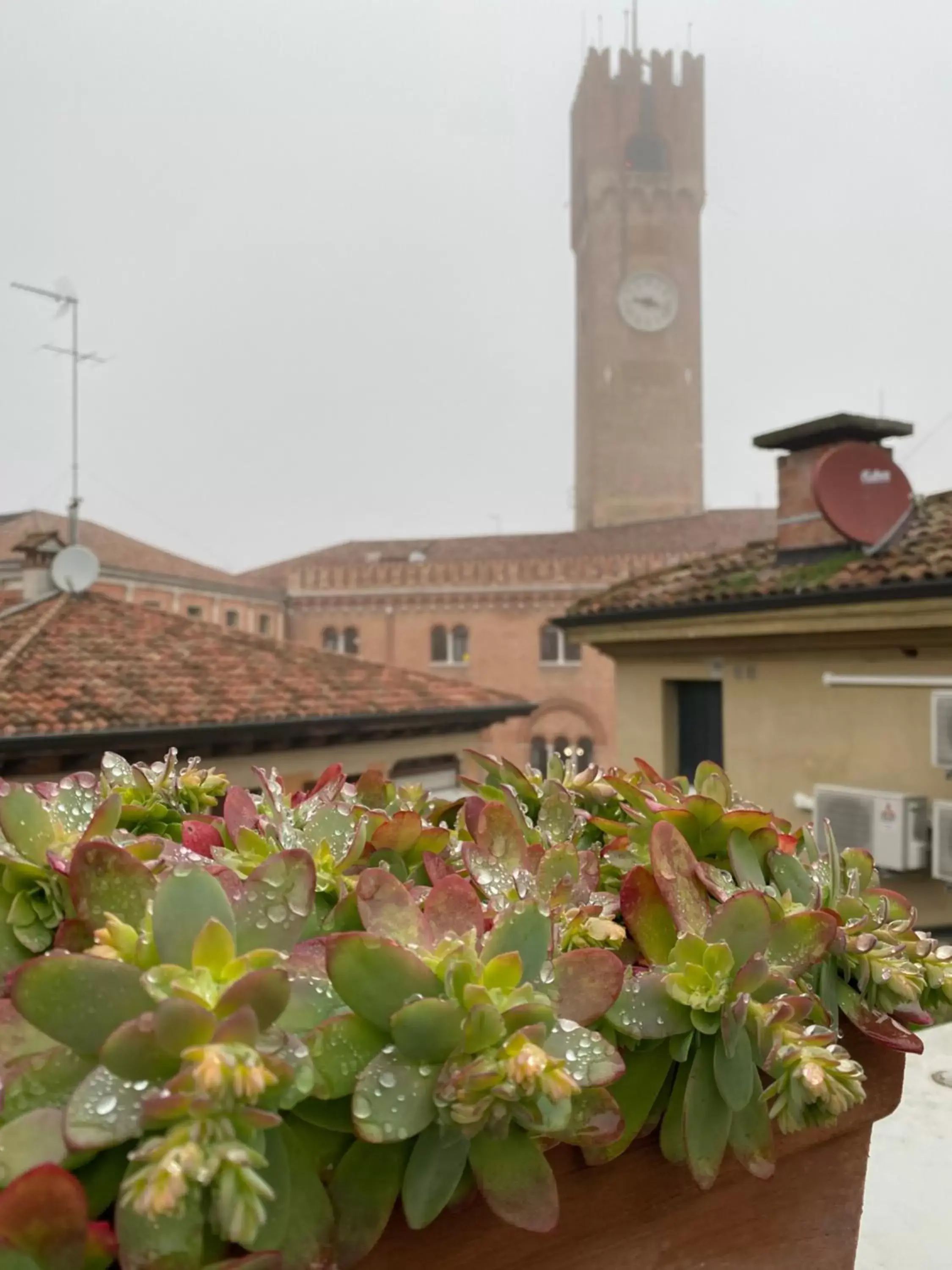 Landmark view in Palazzina300