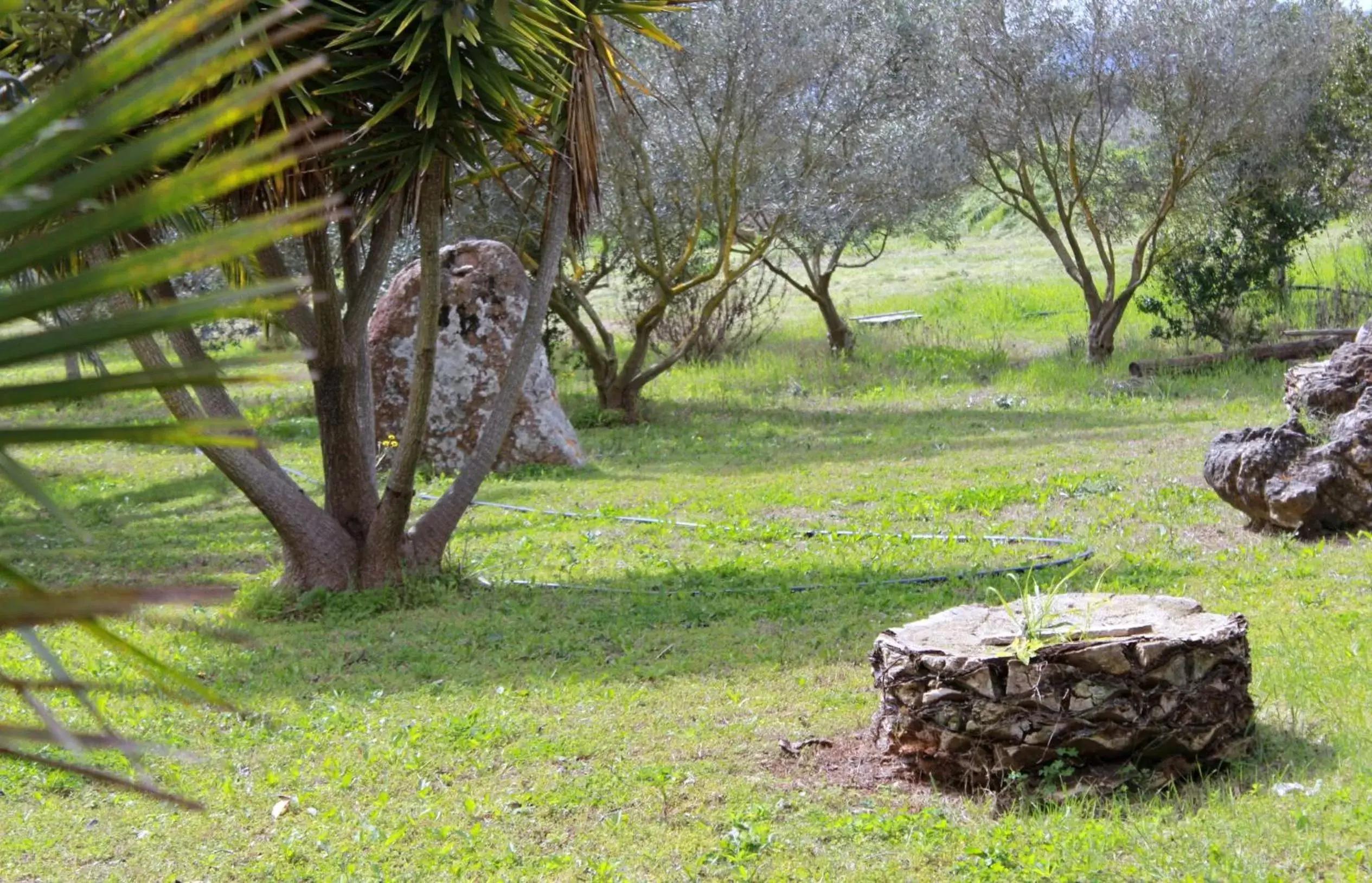 Garden in B&B funtanadetalia