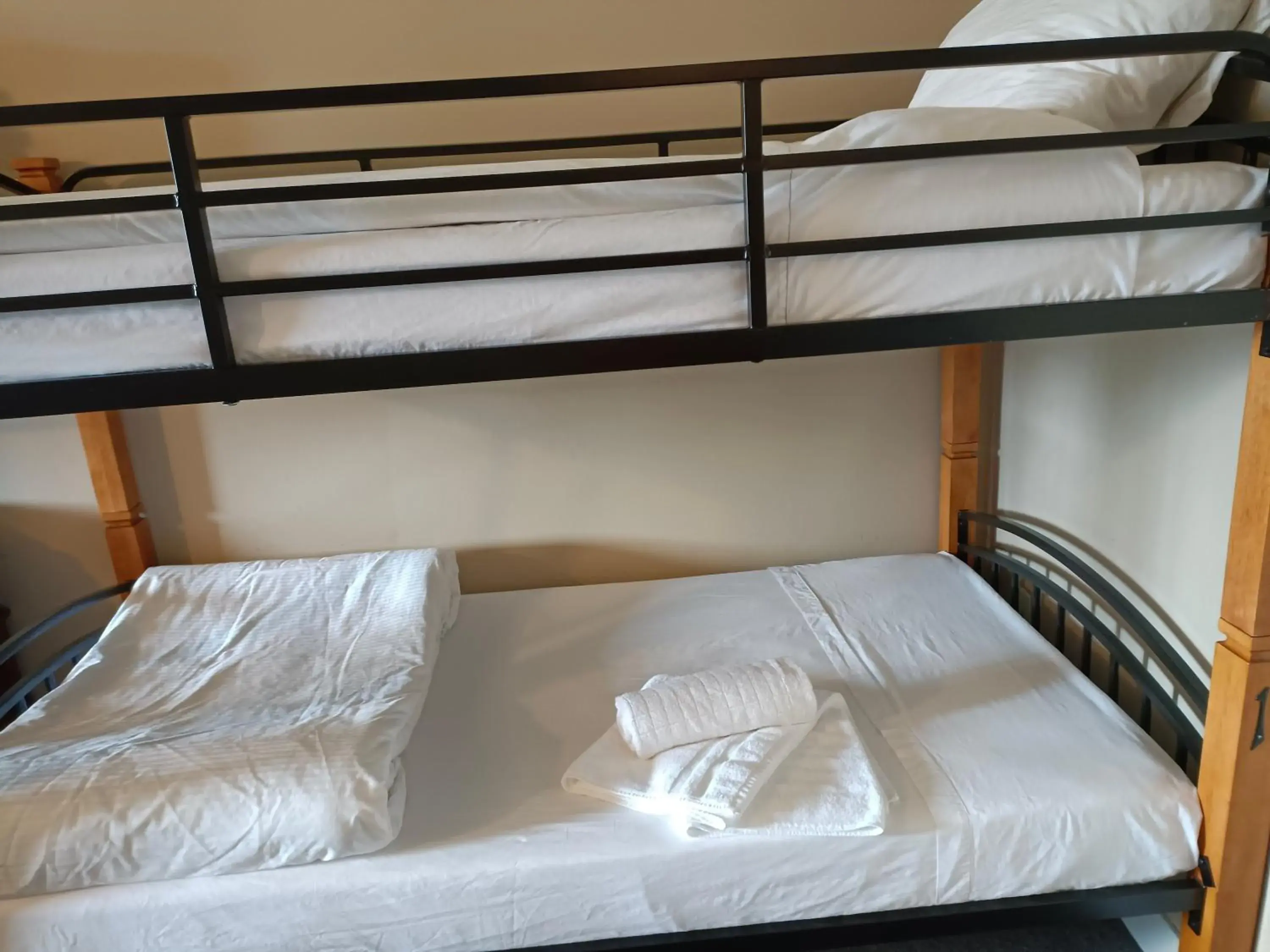 Bed, Bunk Bed in Painted Turtle Guesthouse