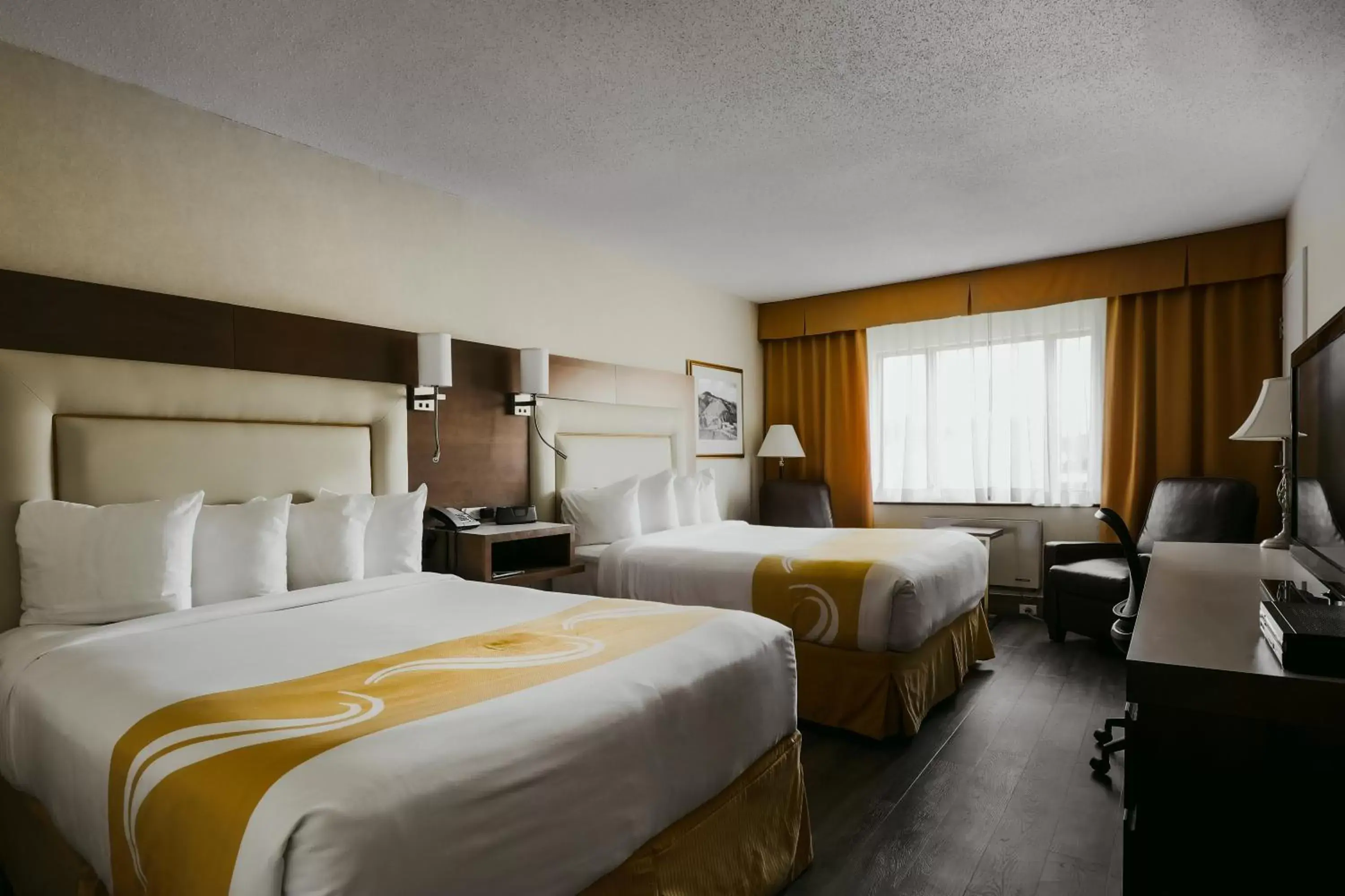 Photo of the whole room, Bed in Quality Inn & Suites & Conference Centre - Gatineau