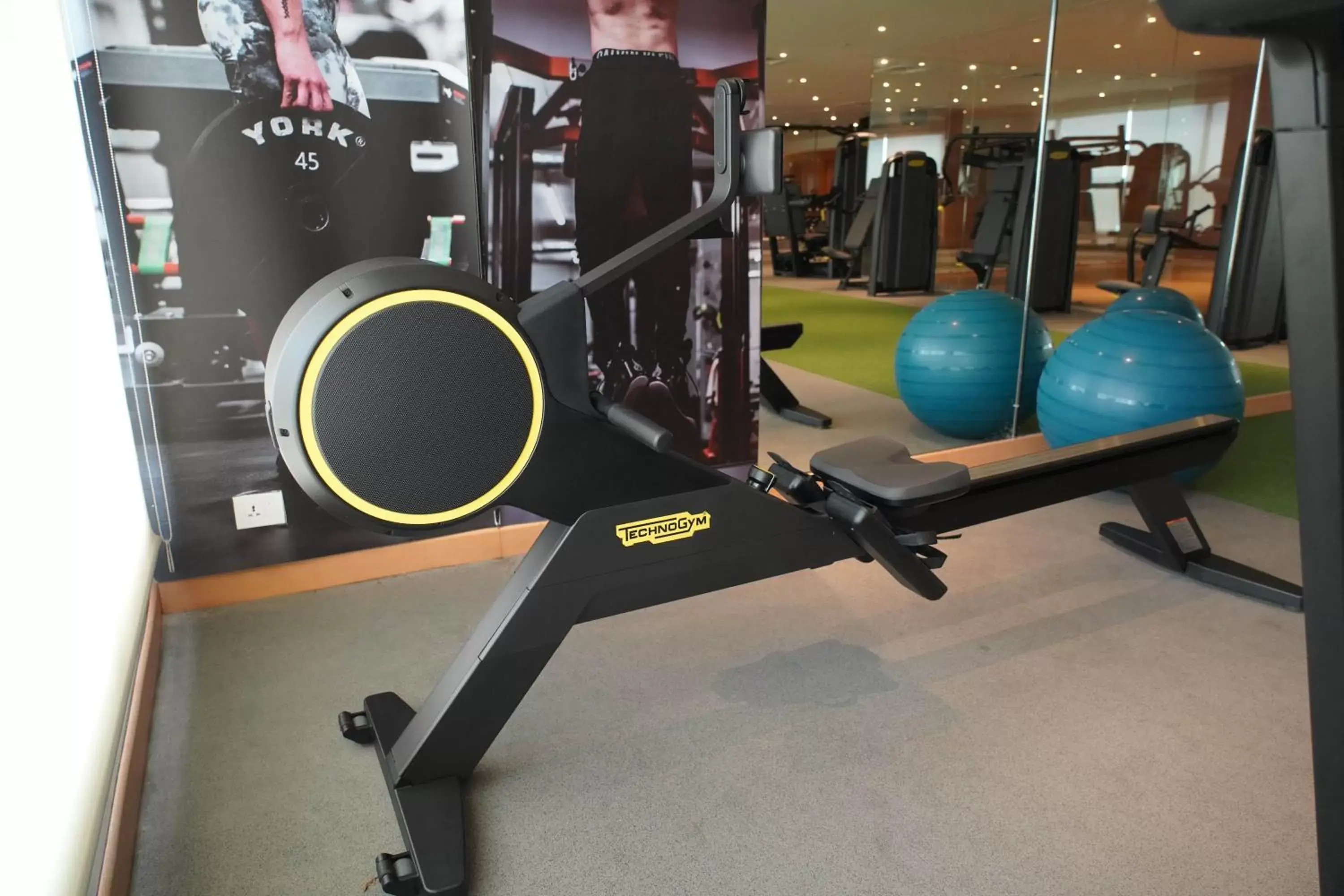 Fitness centre/facilities, Fitness Center/Facilities in Wyndham Chandigarh Mohali