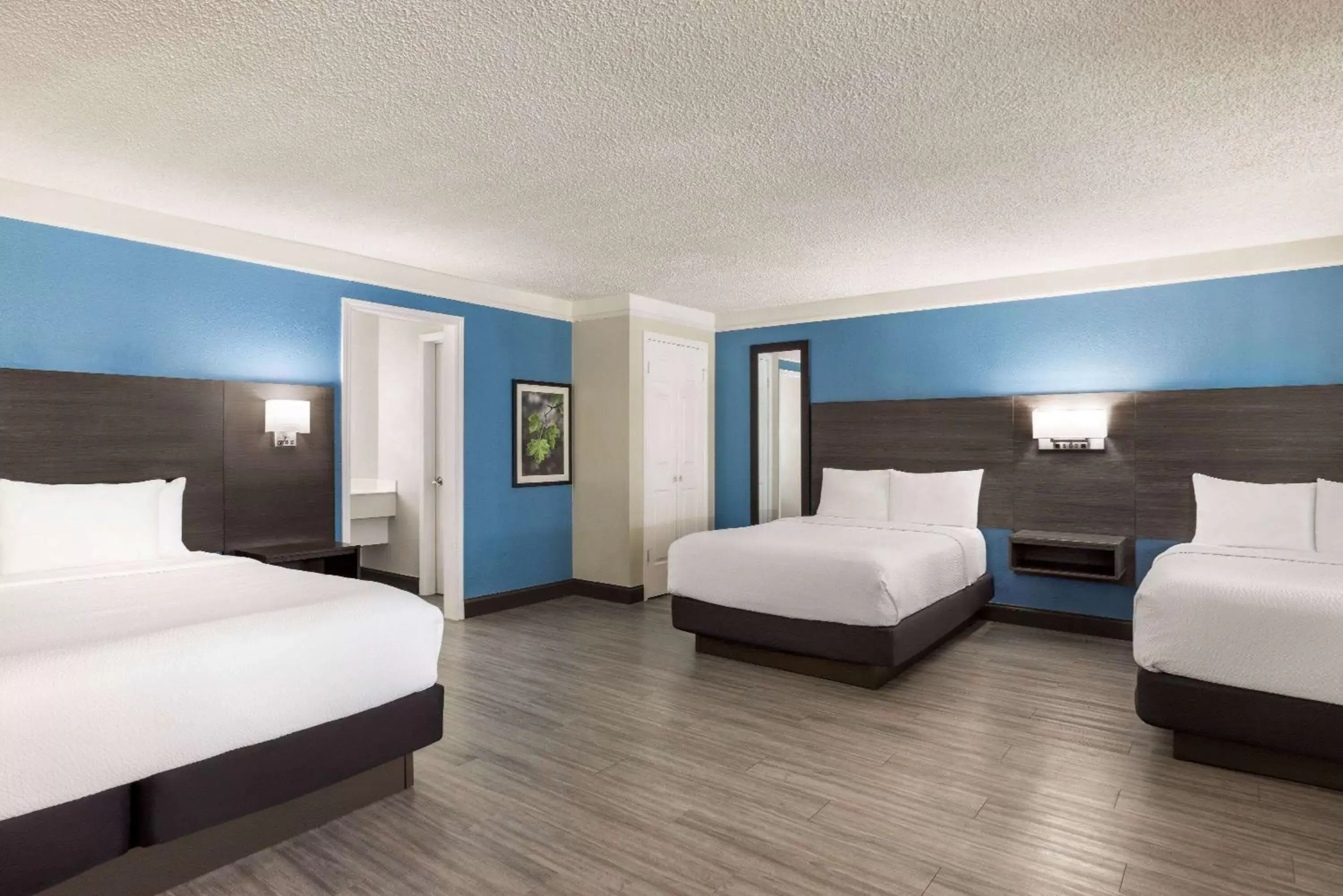 Photo of the whole room, Bed in La Quinta Inn by Wyndham San Antonio I-35 N at Toepperwein