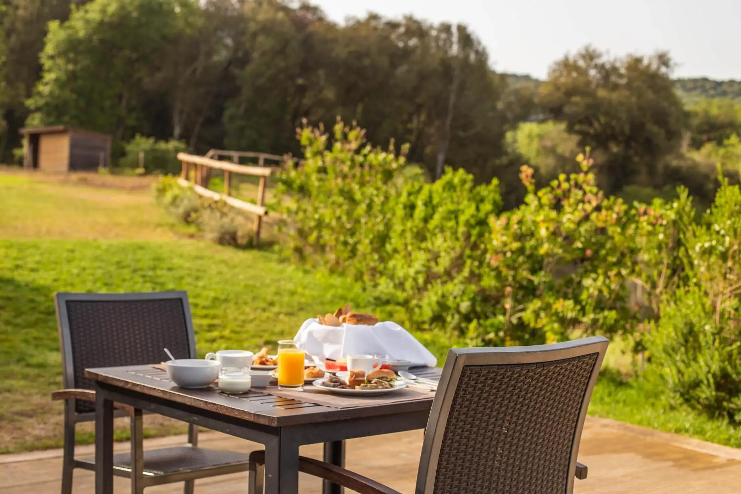 Buffet breakfast, Restaurant/Places to Eat in Mas Salagros EcoResort & SPA