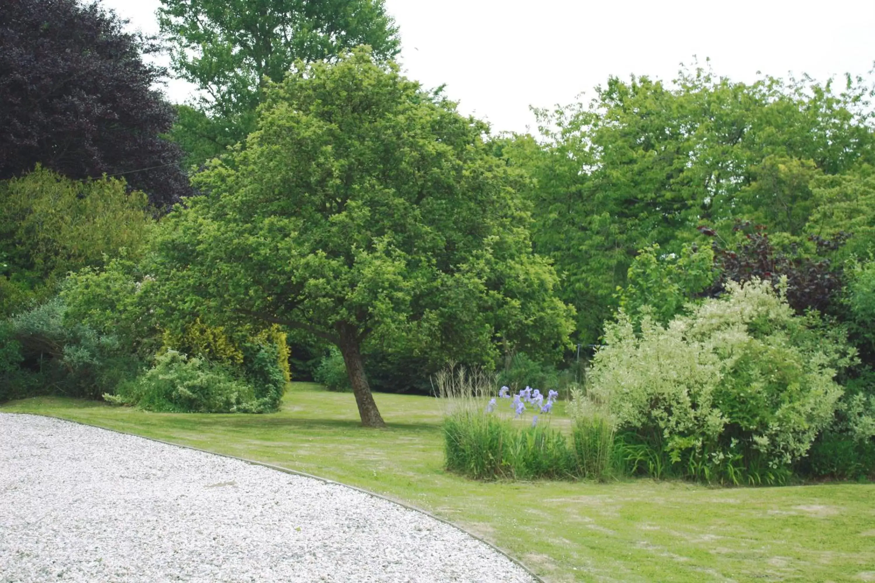 Garden in B&B Dorwyn Manor