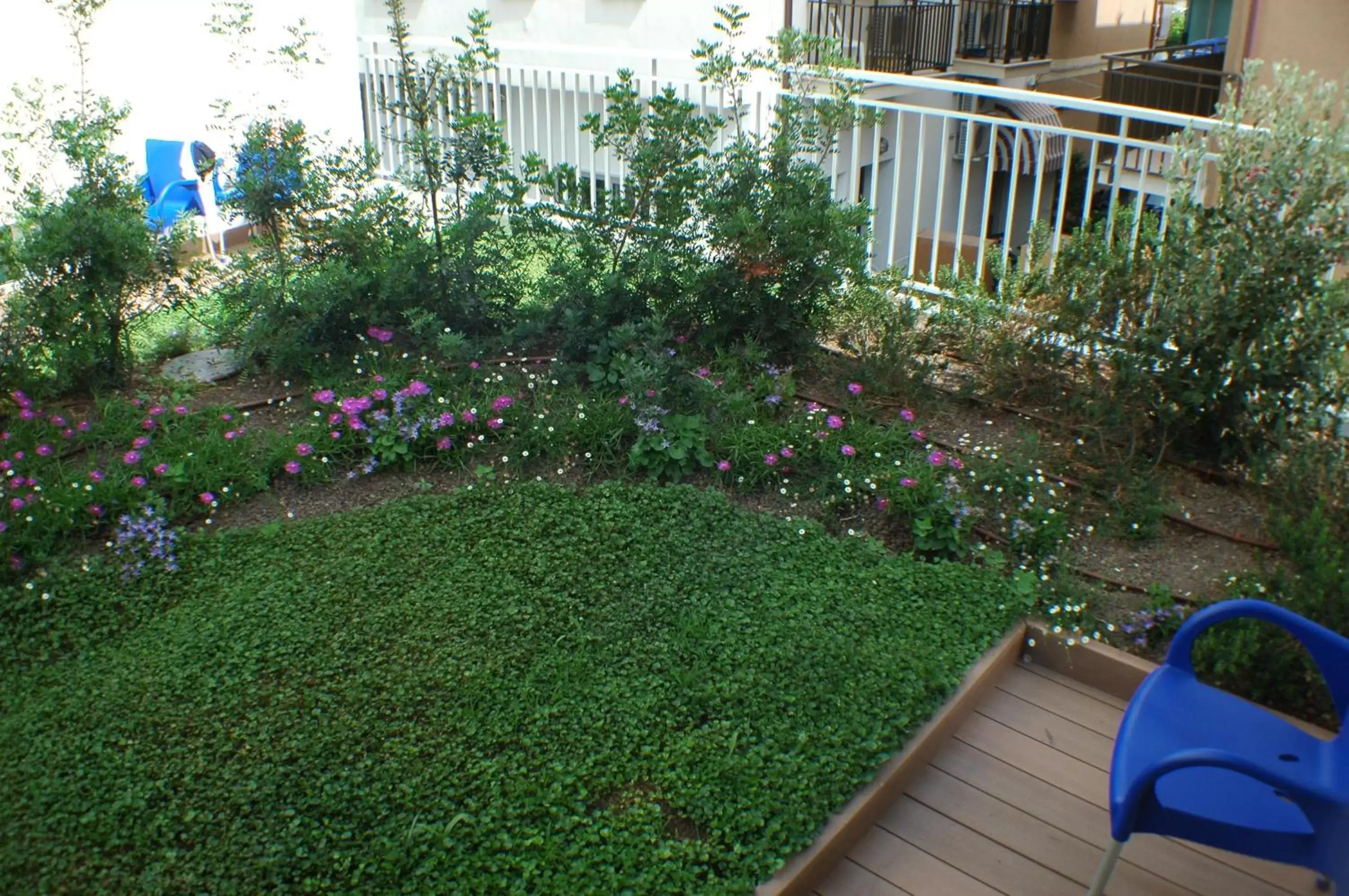 Balcony/Terrace, Garden in Hotel Miramare