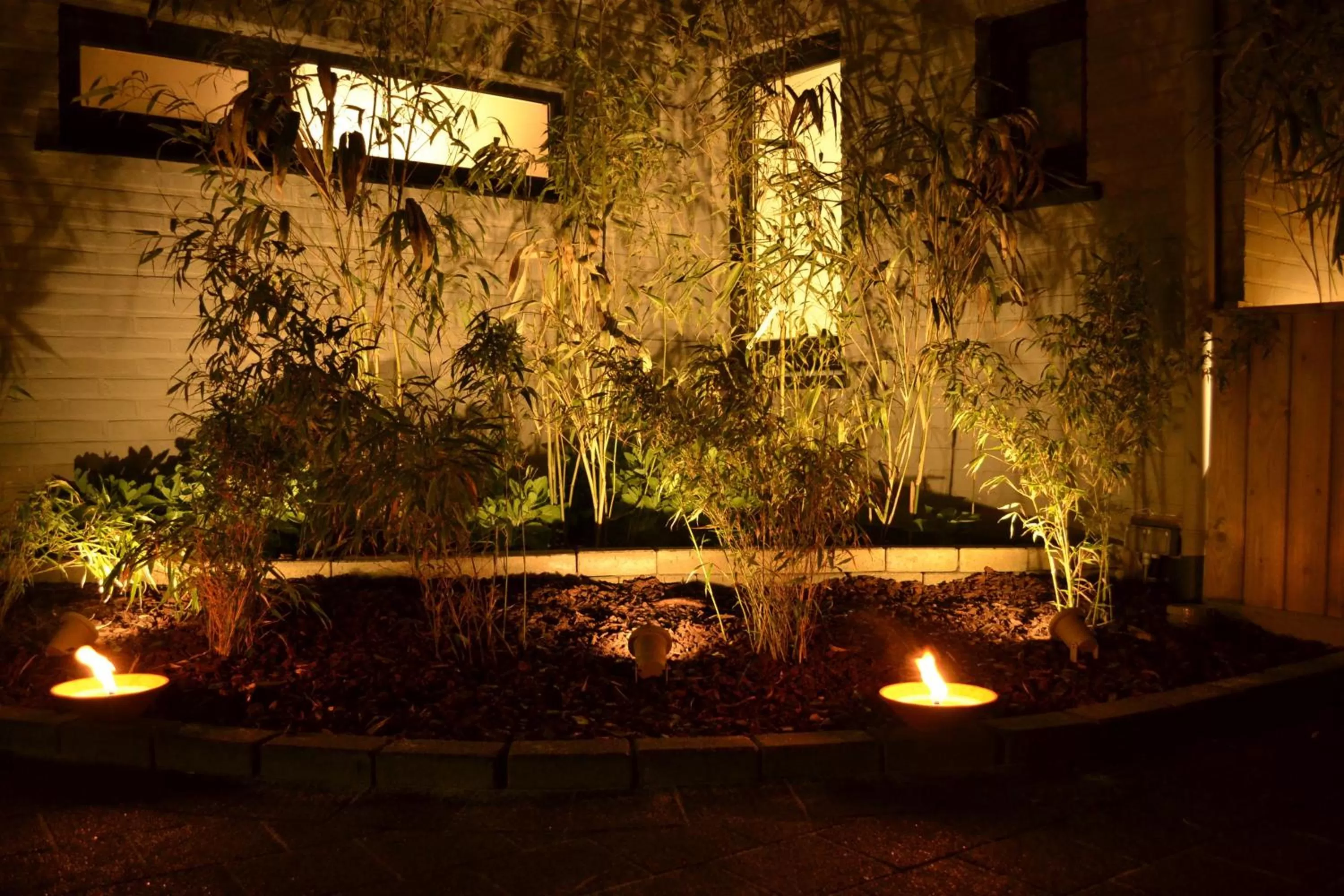 Garden in B&B Noord-Zuid