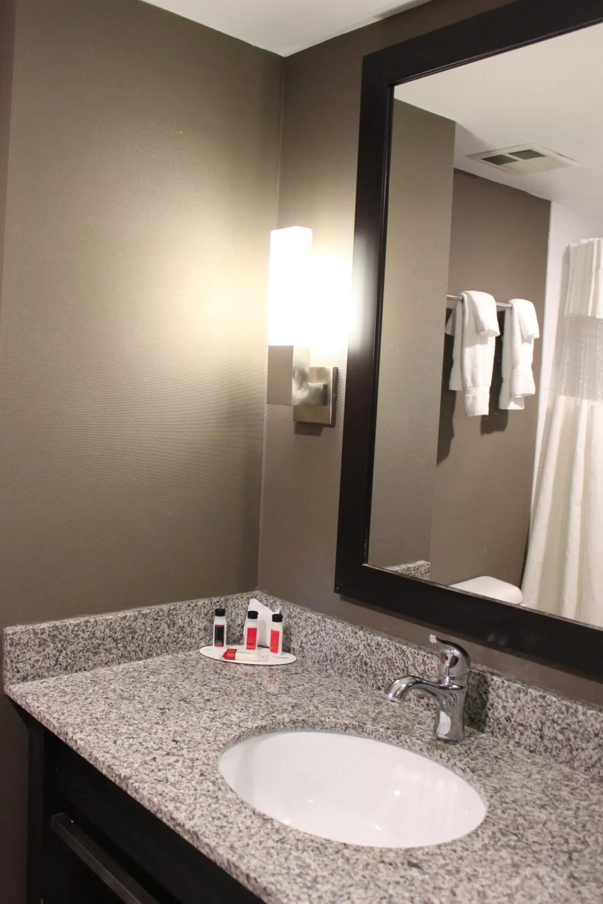 Bathroom in Ramada Plaza by Wyndham Niagara Falls