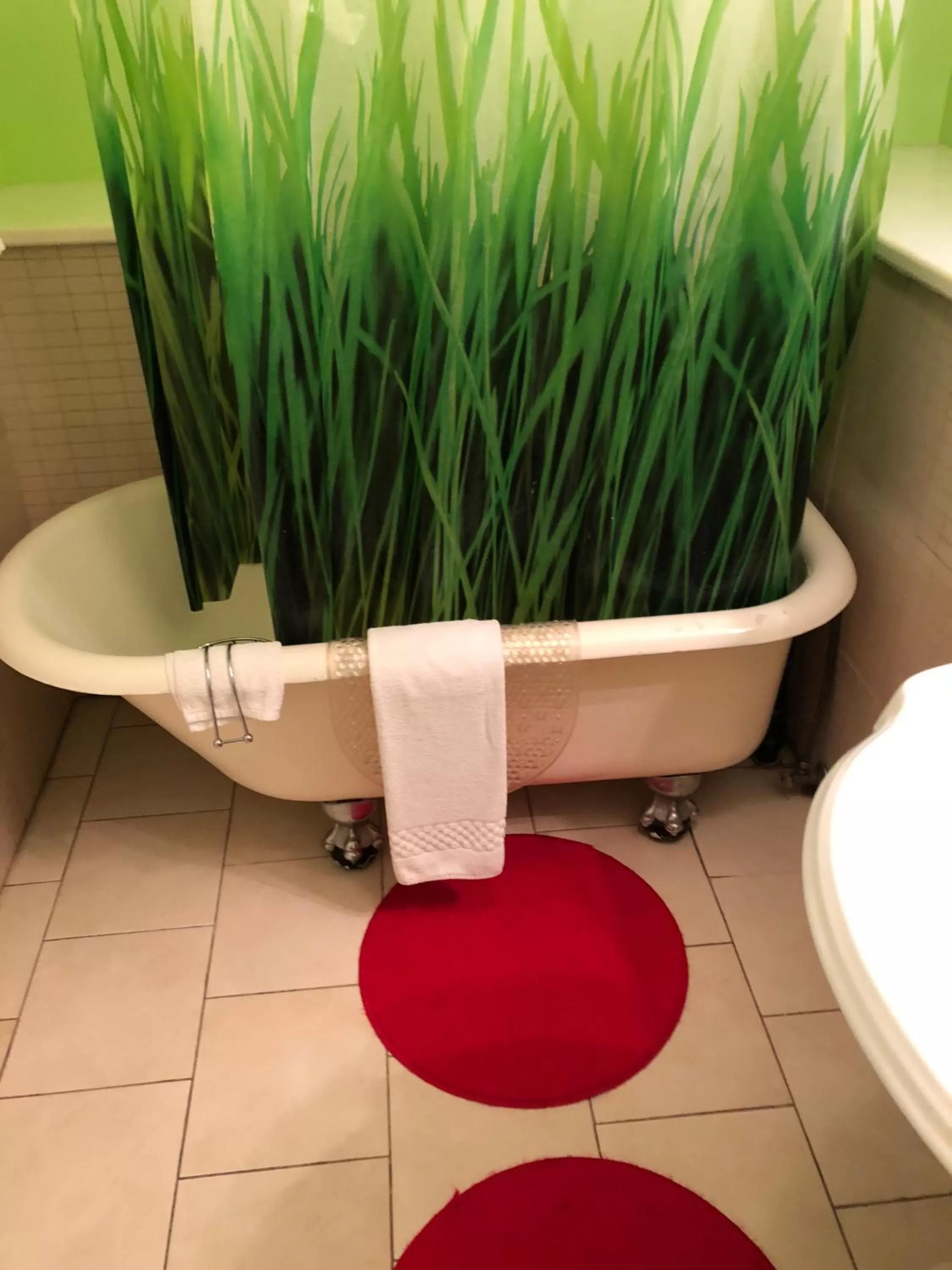 Shower, Bathroom in Barclay House Bed and Breakfast