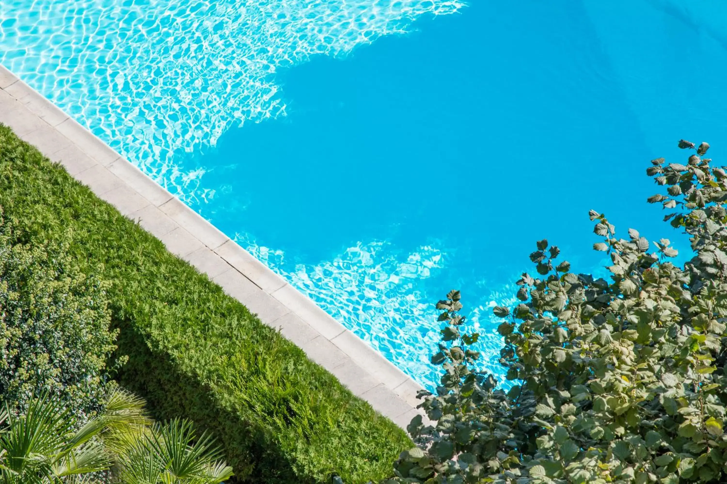 Summer, Swimming Pool in Hotel Victoria Glion