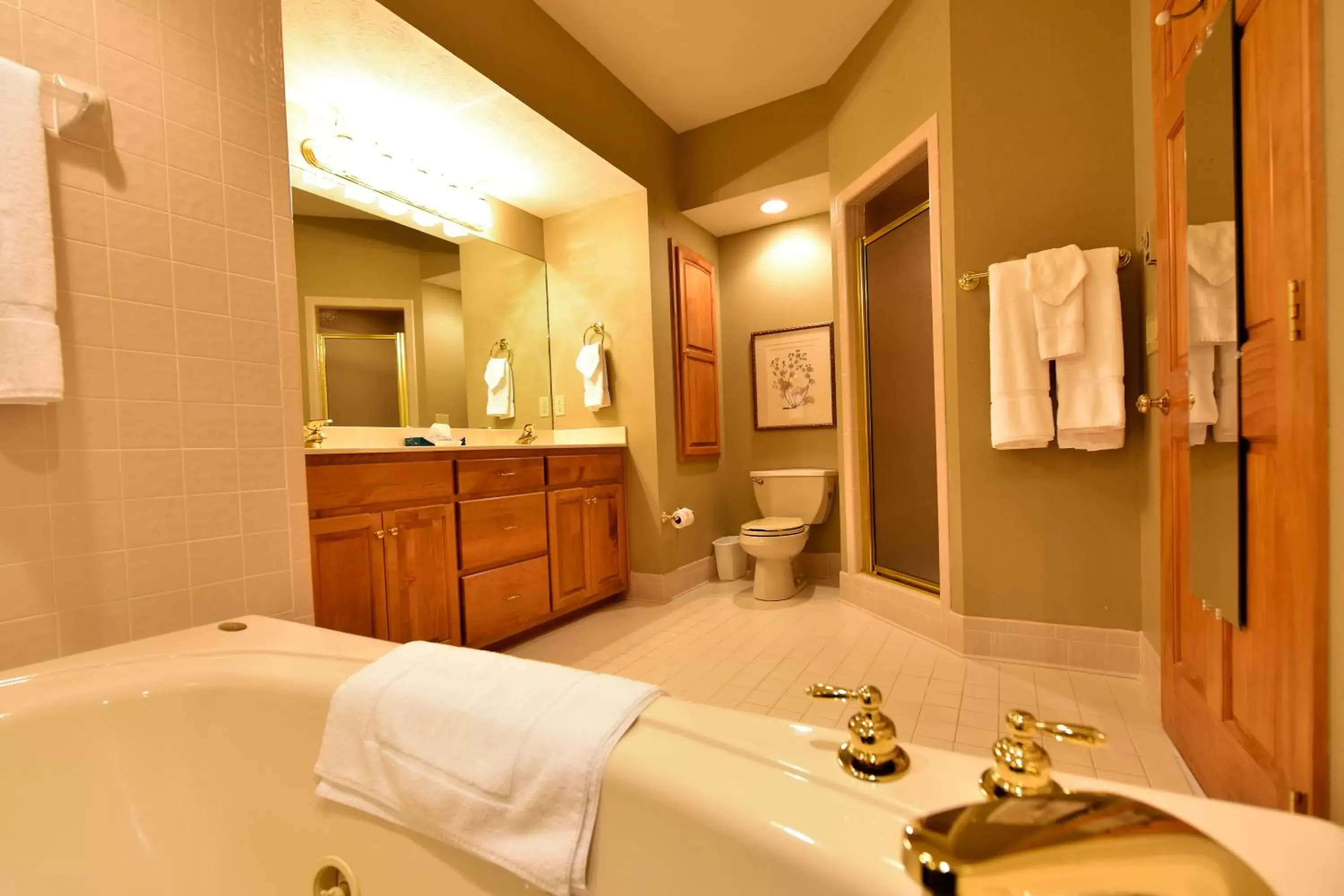 Bathroom in Chetola Resort Condominiums