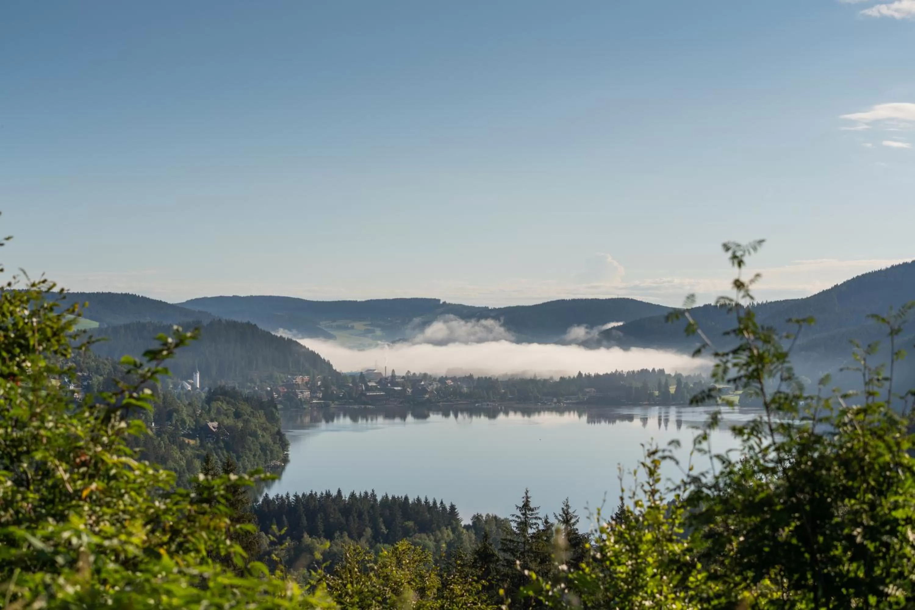 View (from property/room) in NATURE TITISEE - Easy.Life.Hotel.