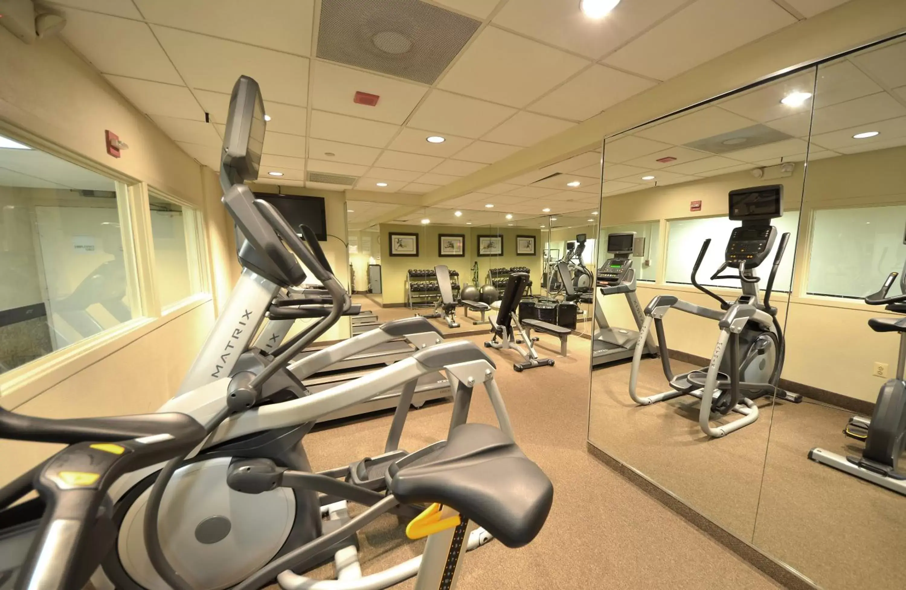 Fitness centre/facilities, Fitness Center/Facilities in Holiday Inn Washington D.C. - Greenbelt Maryland, an IHG Hotel
