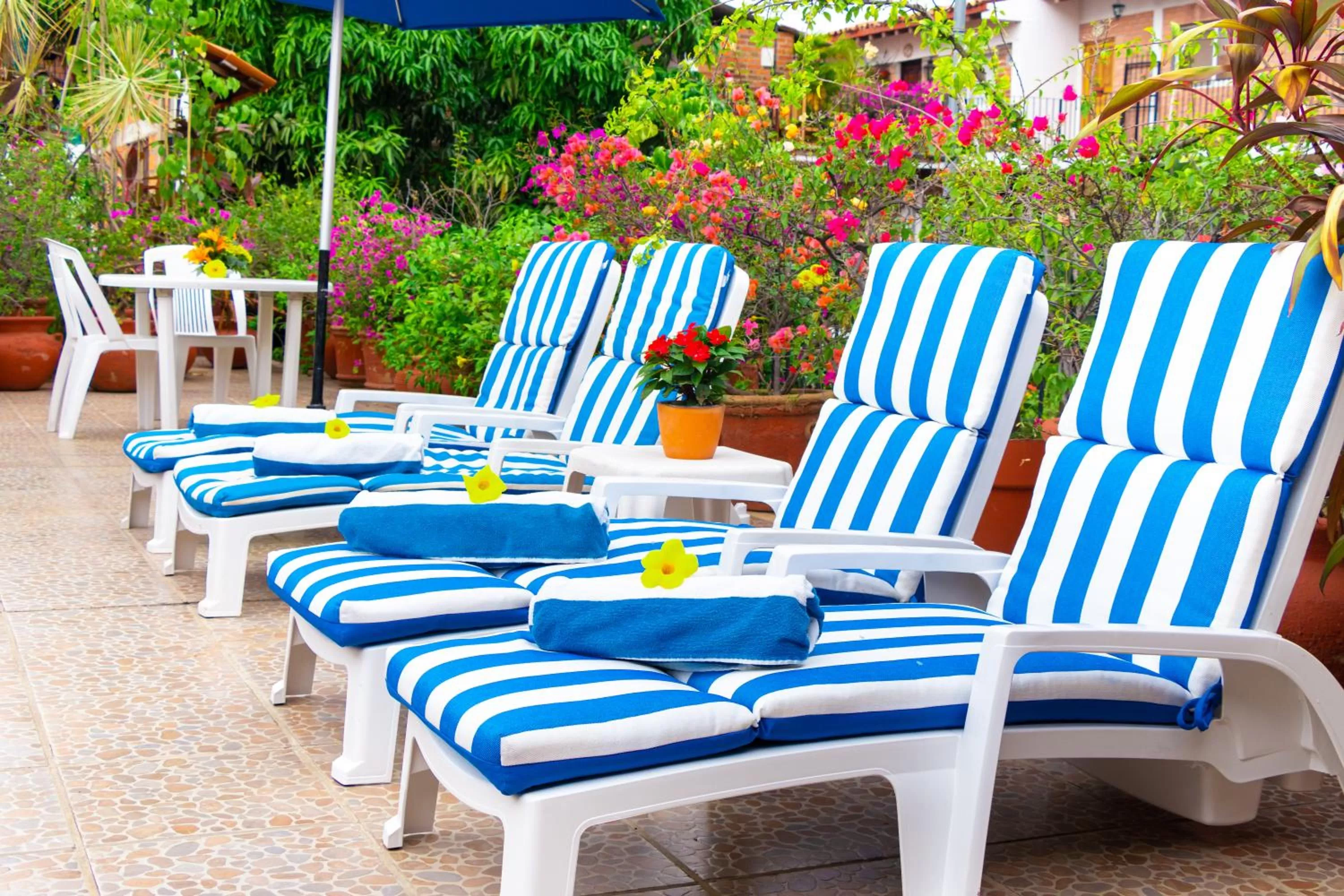 Patio in Hotel Posada De Roger - Near Los Muertos Beach