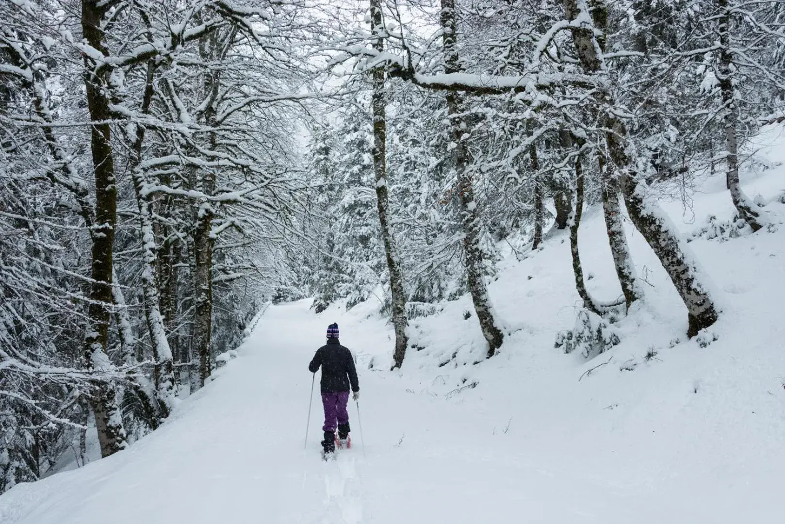 Skiing in Hotel El Acebo