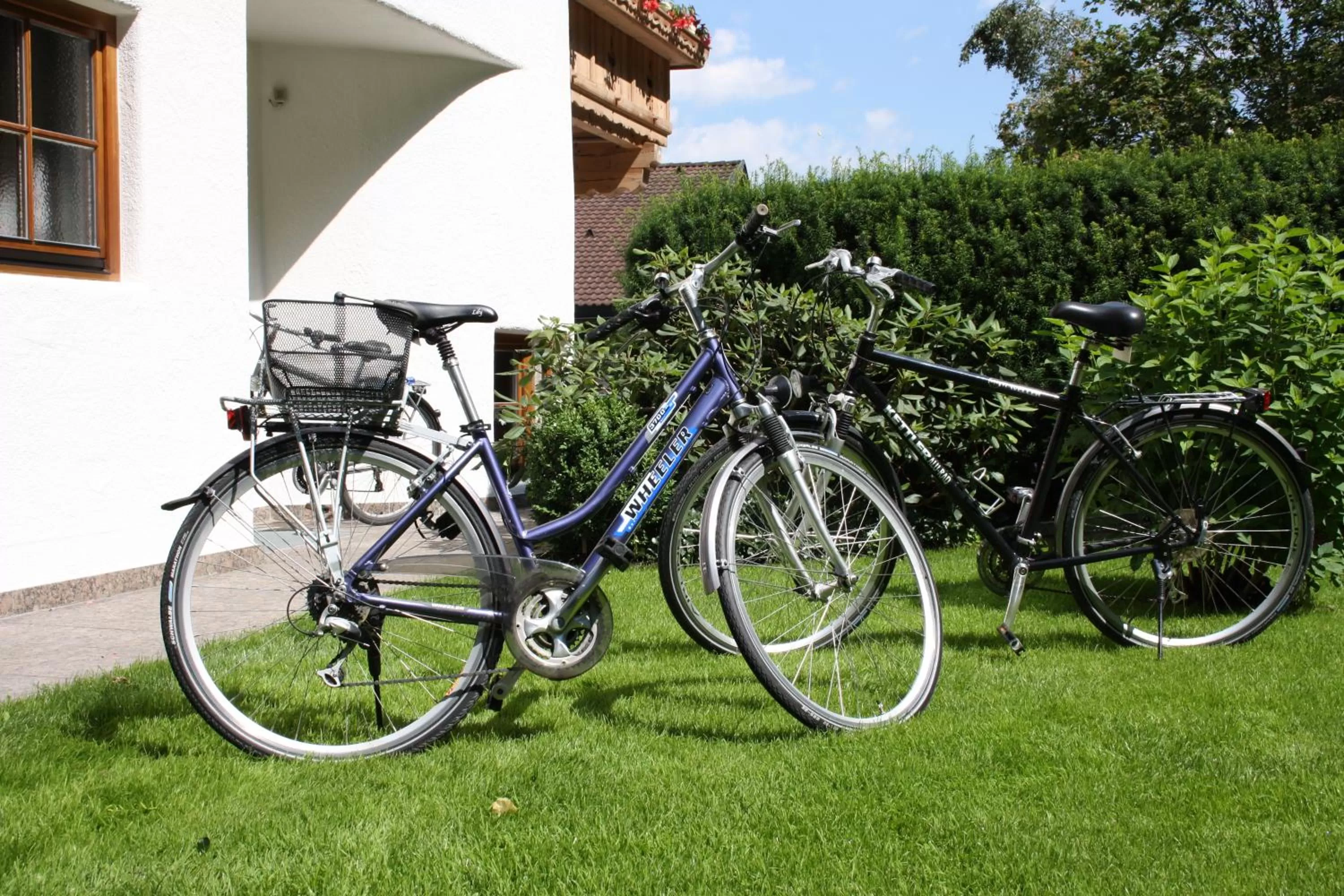 Cycling in Vronis Waldhaus ADULTS ONLY