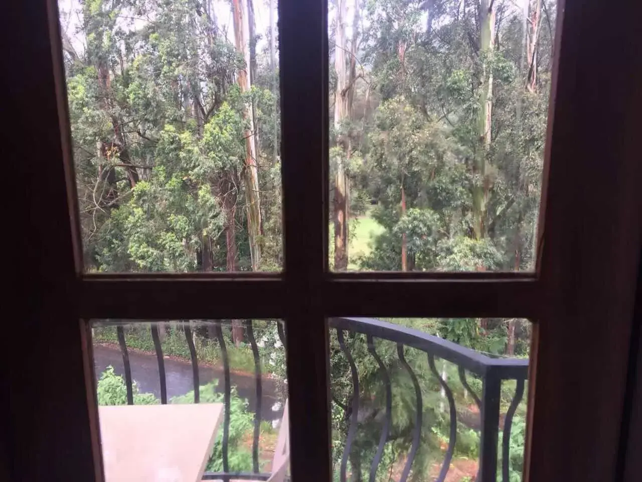 View (from property/room) in Panorama Green View Hotel Nuwara Eliya