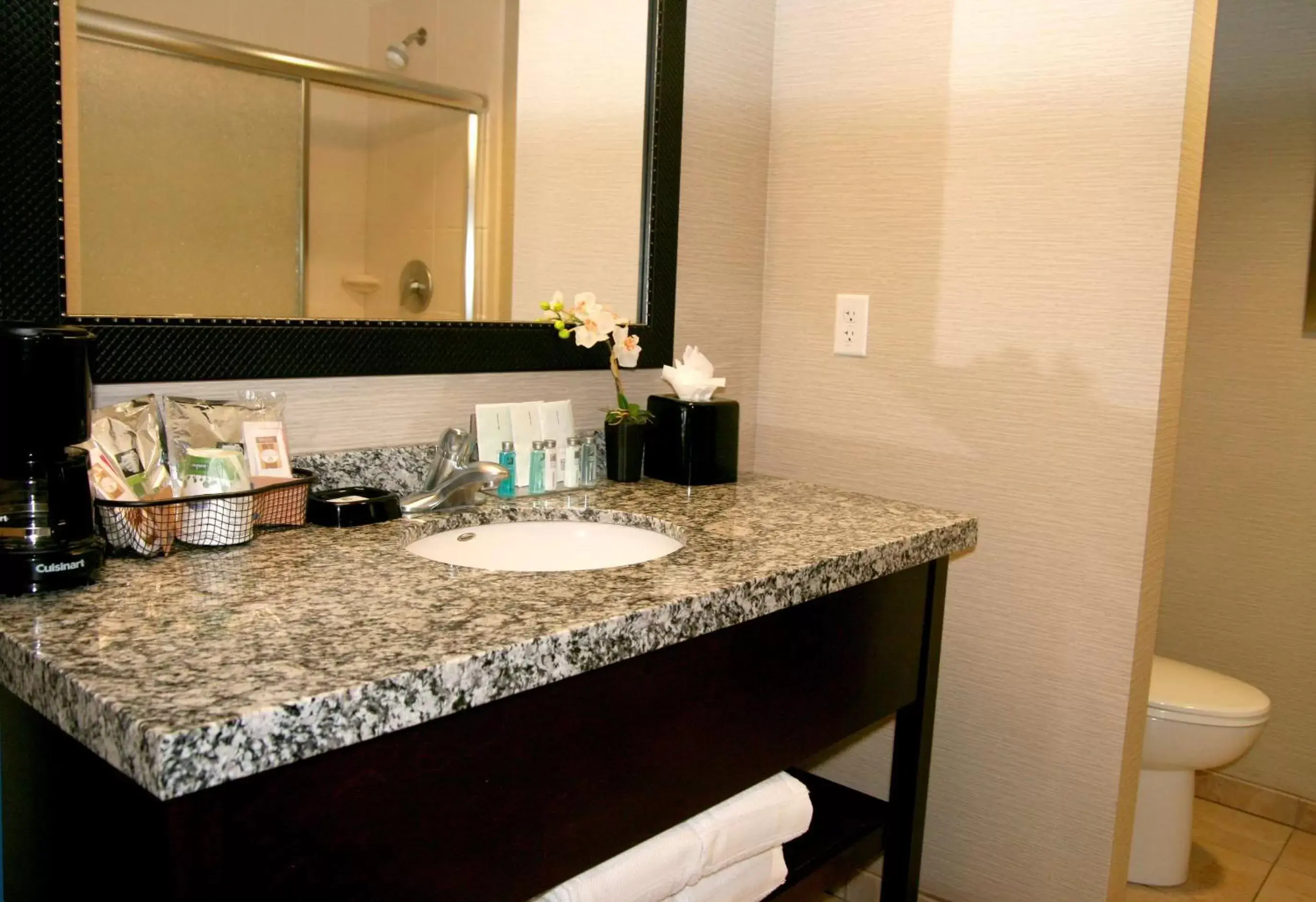 Bathroom in Hampton Inn & Suites Salt Lake City-University/Foothill Drive