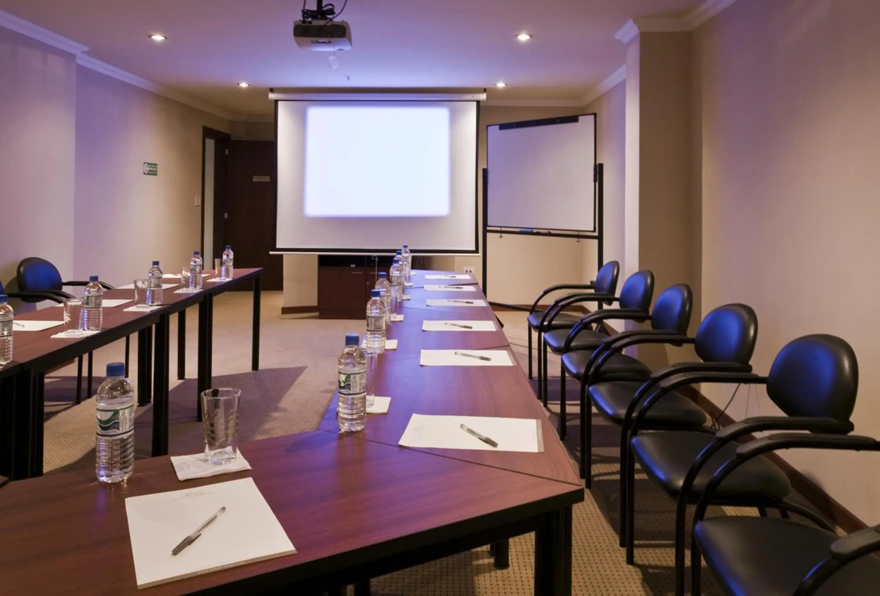 Meeting/conference room in Hotel Stubel Suites & Cafe