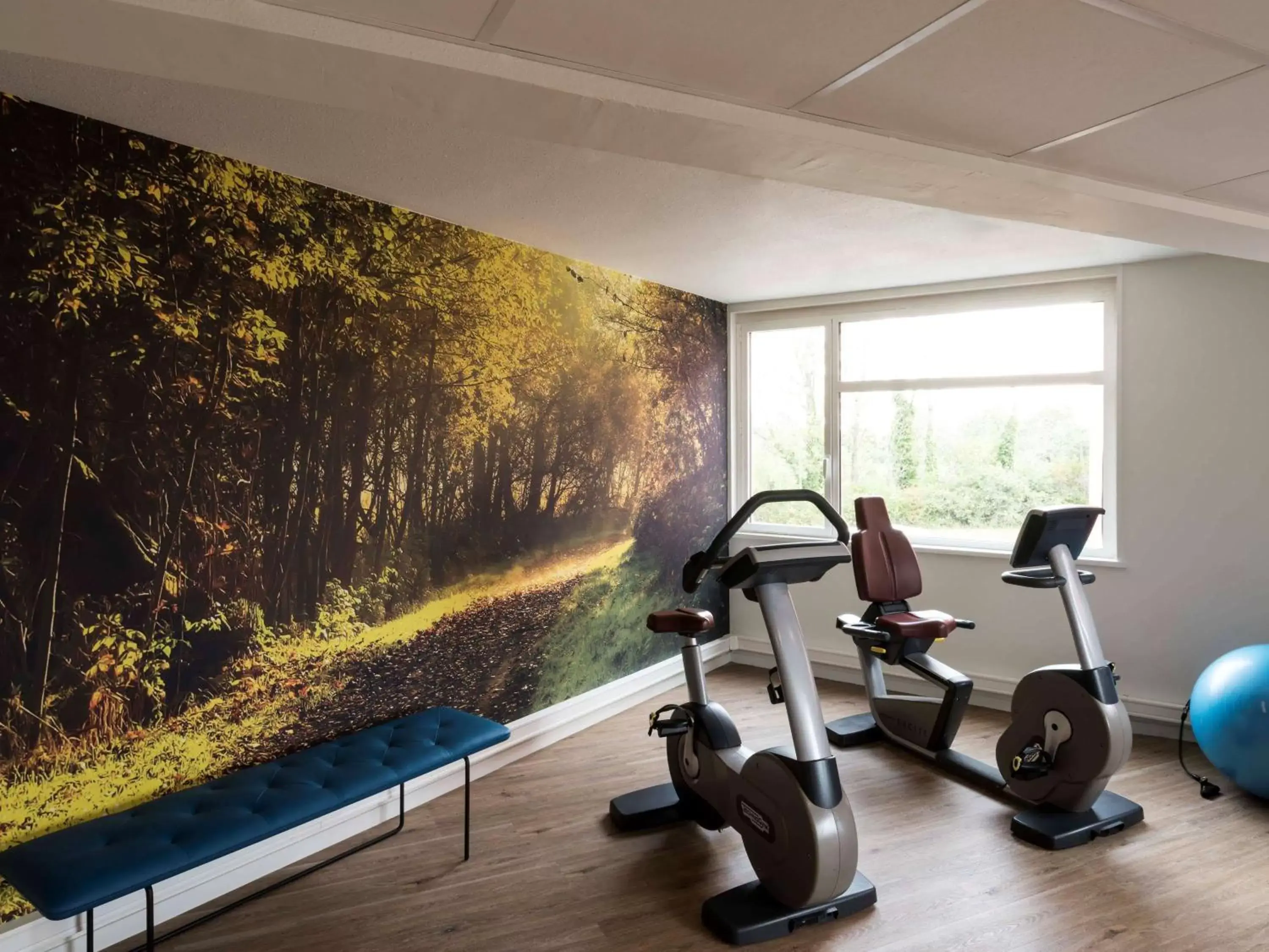 Fitness centre/facilities, Fitness Center/Facilities in Novotel Lyon Bron Eurexpo