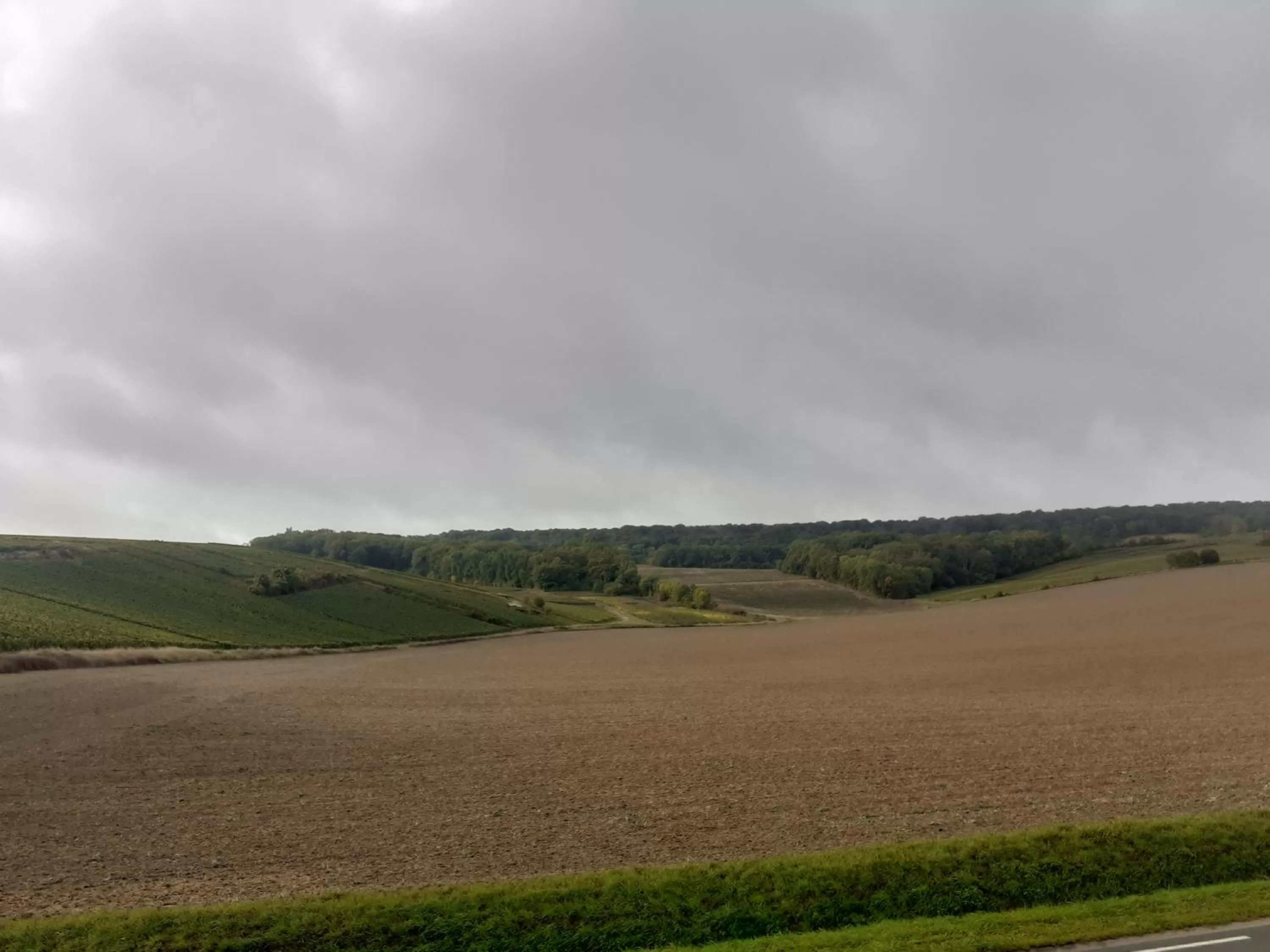 Natural landscape in CHAMBRES D'HOTES DANS DOMAINE DE CHARME A EPERNAY