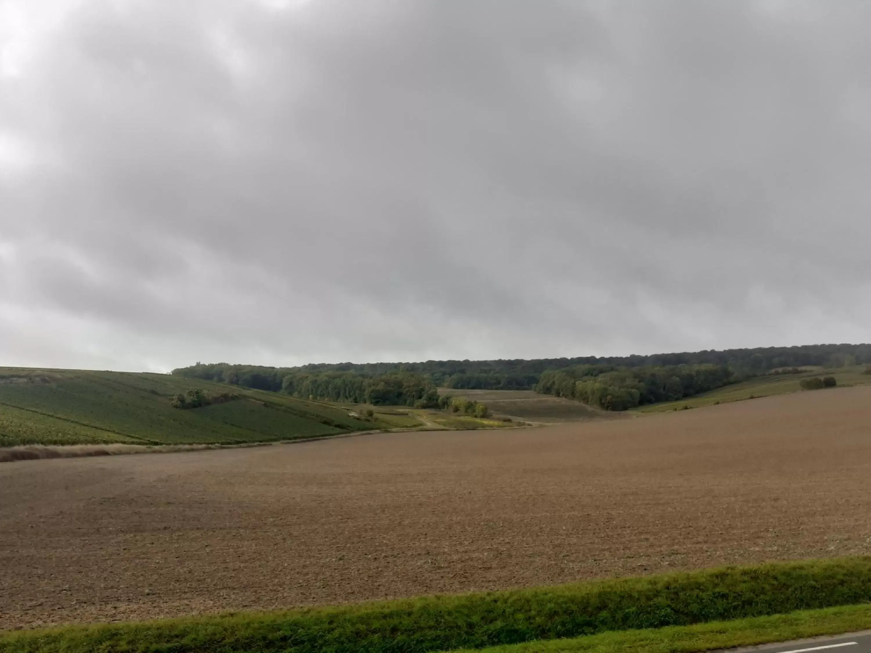 Natural landscape in CHAMBRES D'HOTES DANS DOMAINE DE CHARME A EPERNAY