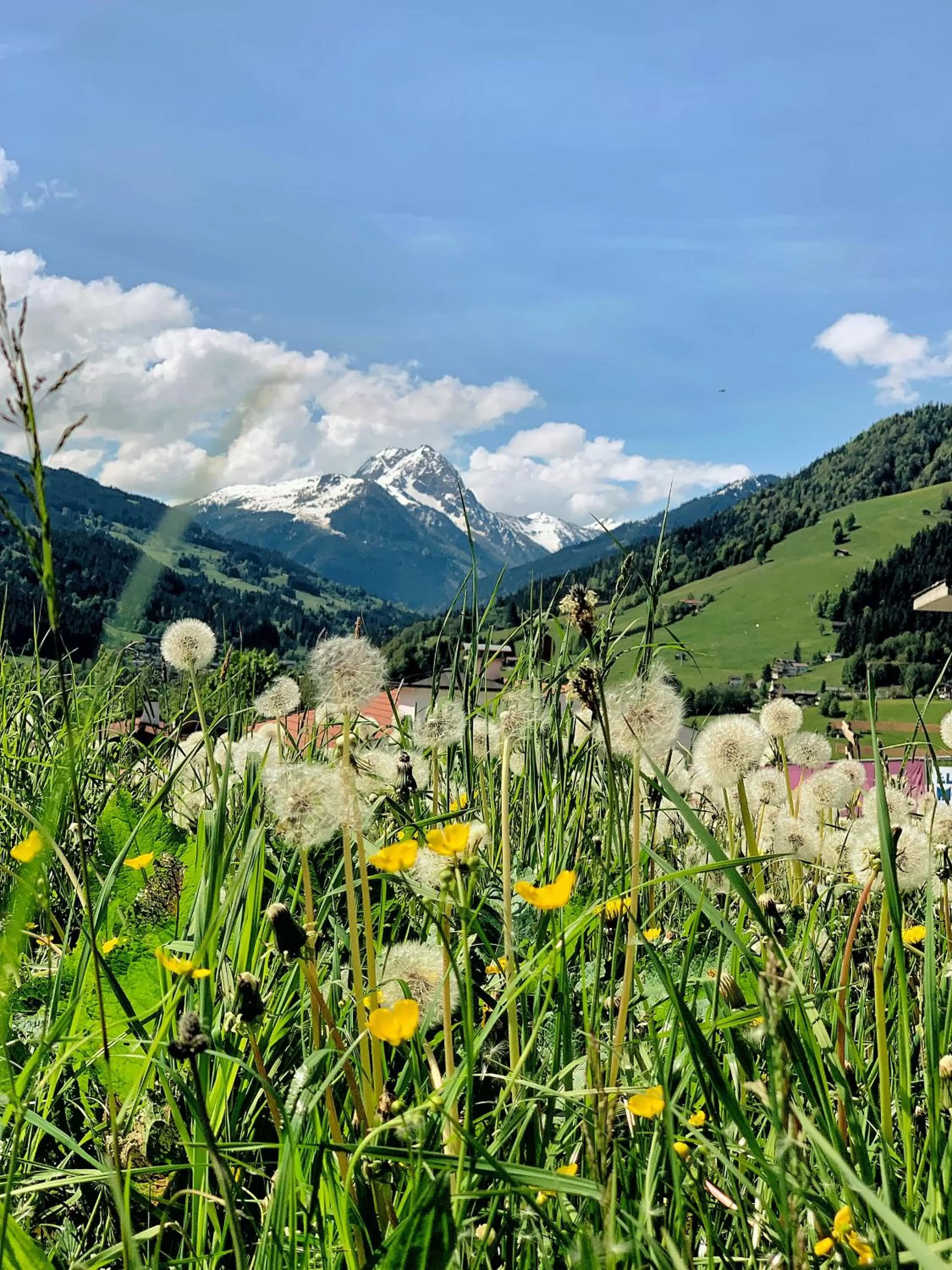 Mountain view in Hotel Garni Wieshof
