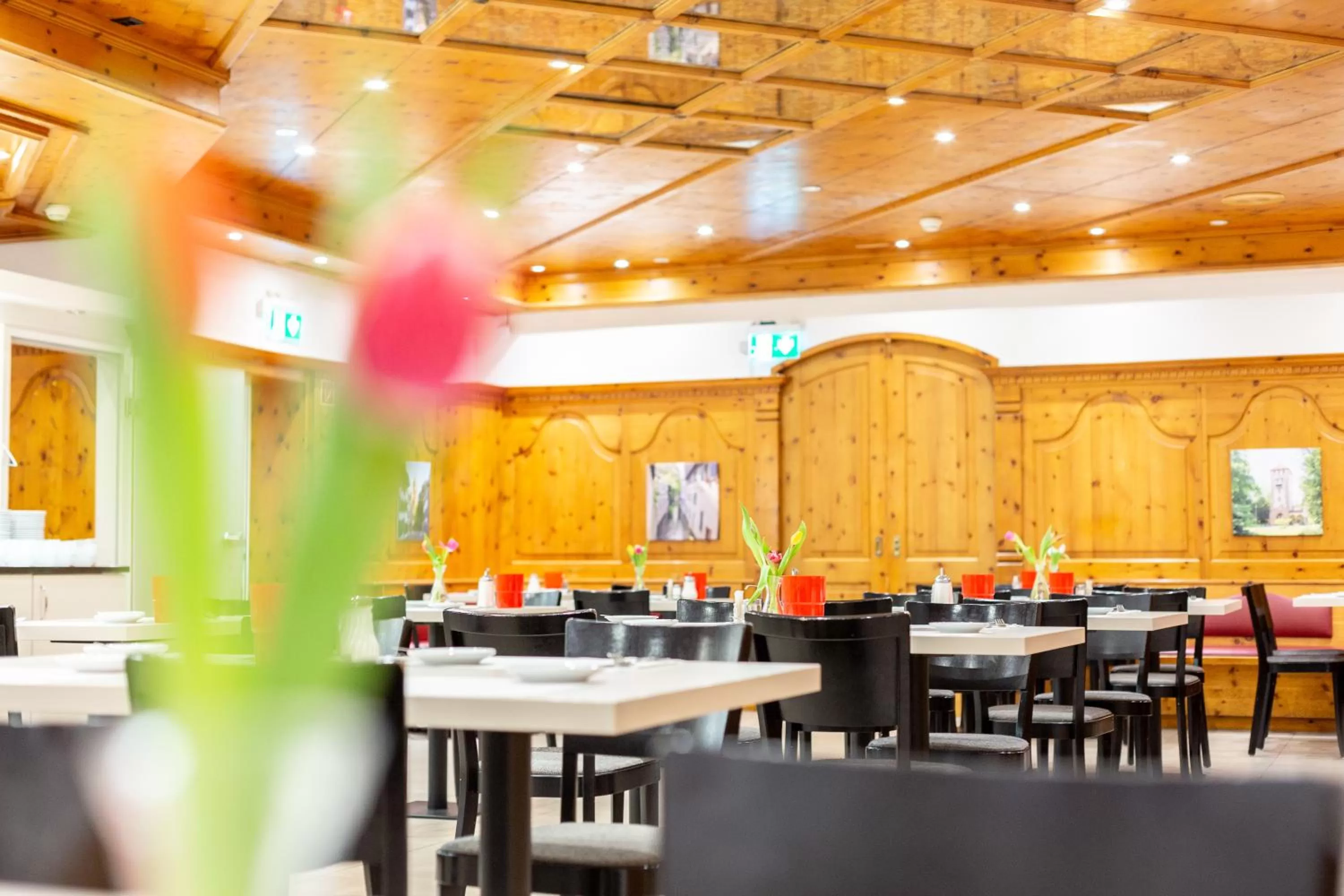 Restaurant/places to eat in Hotel Alexander