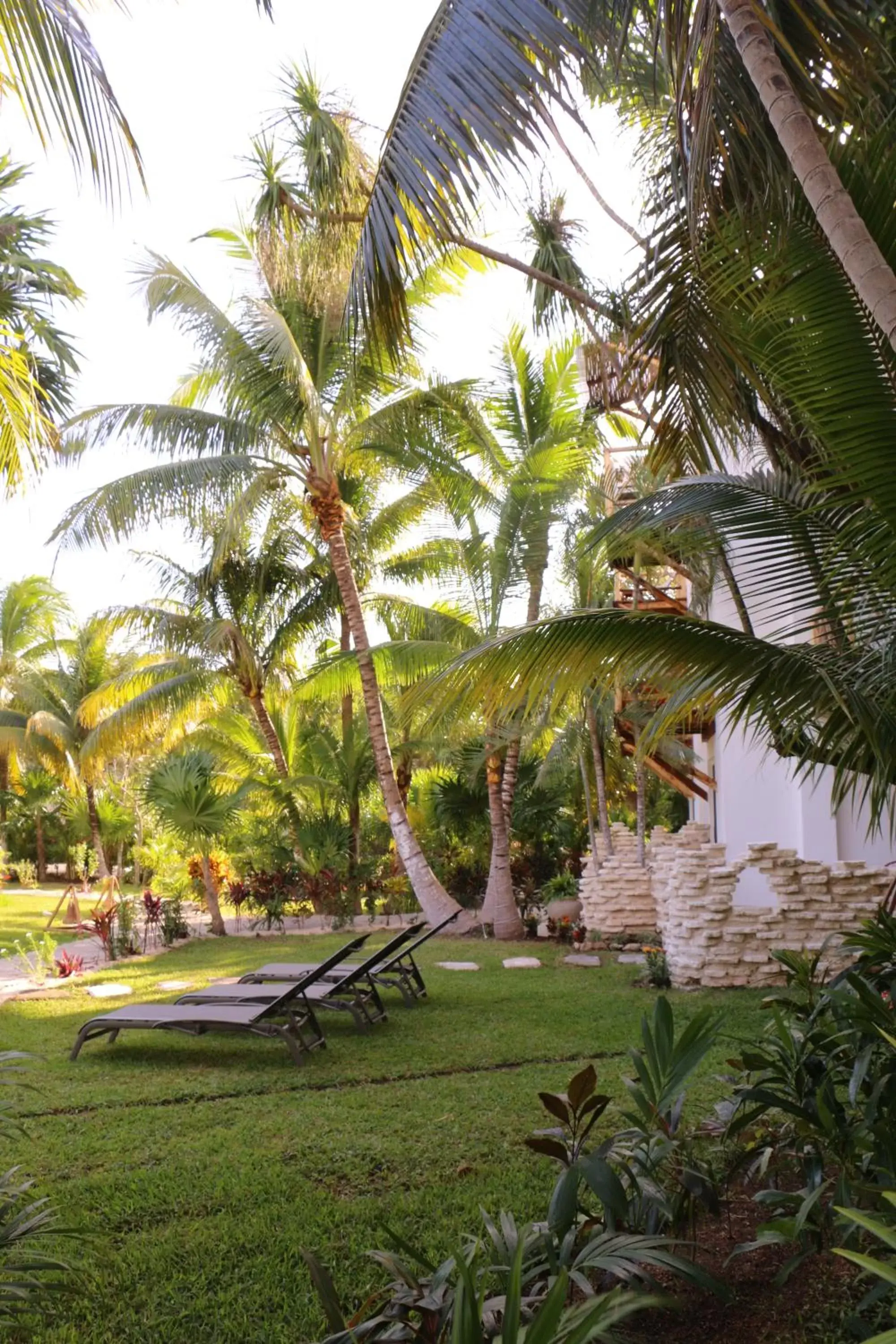 Swimming pool, Garden in WishTulum