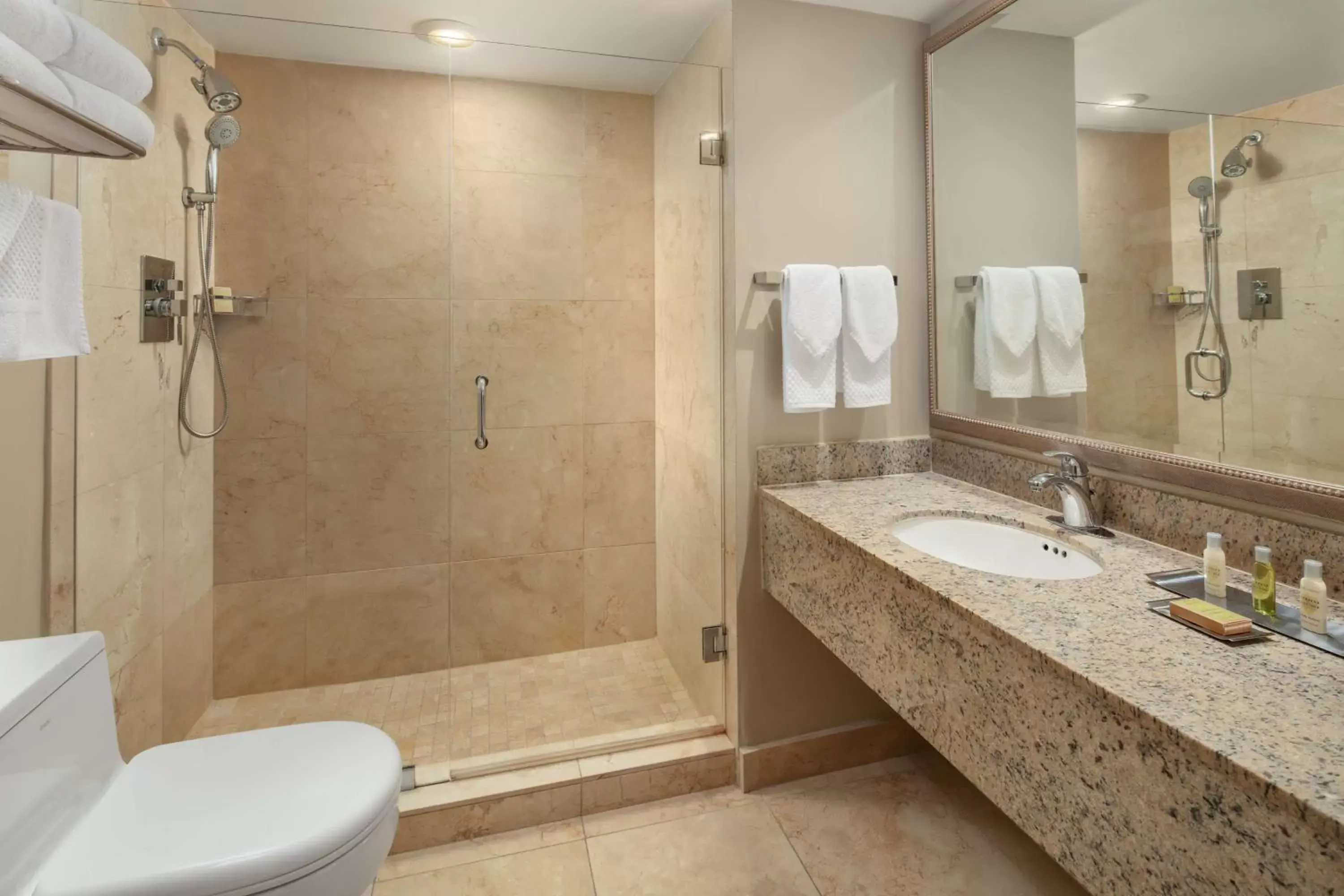 Bathroom in DoubleTree by Hilton Grand Hotel Biscayne Bay