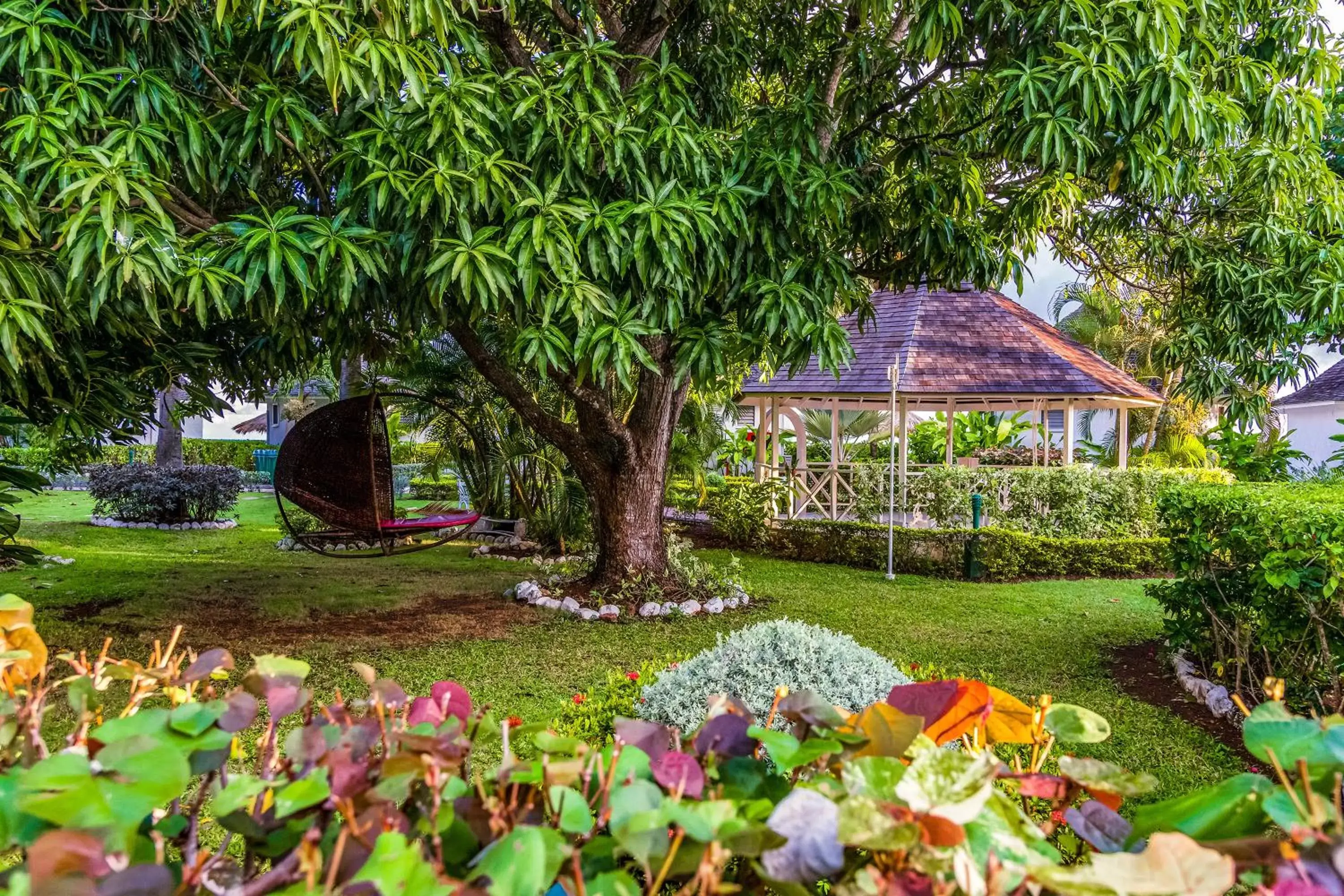 Garden in Royal Decameron Club Caribbean Resort - ALL INCLUSIVE