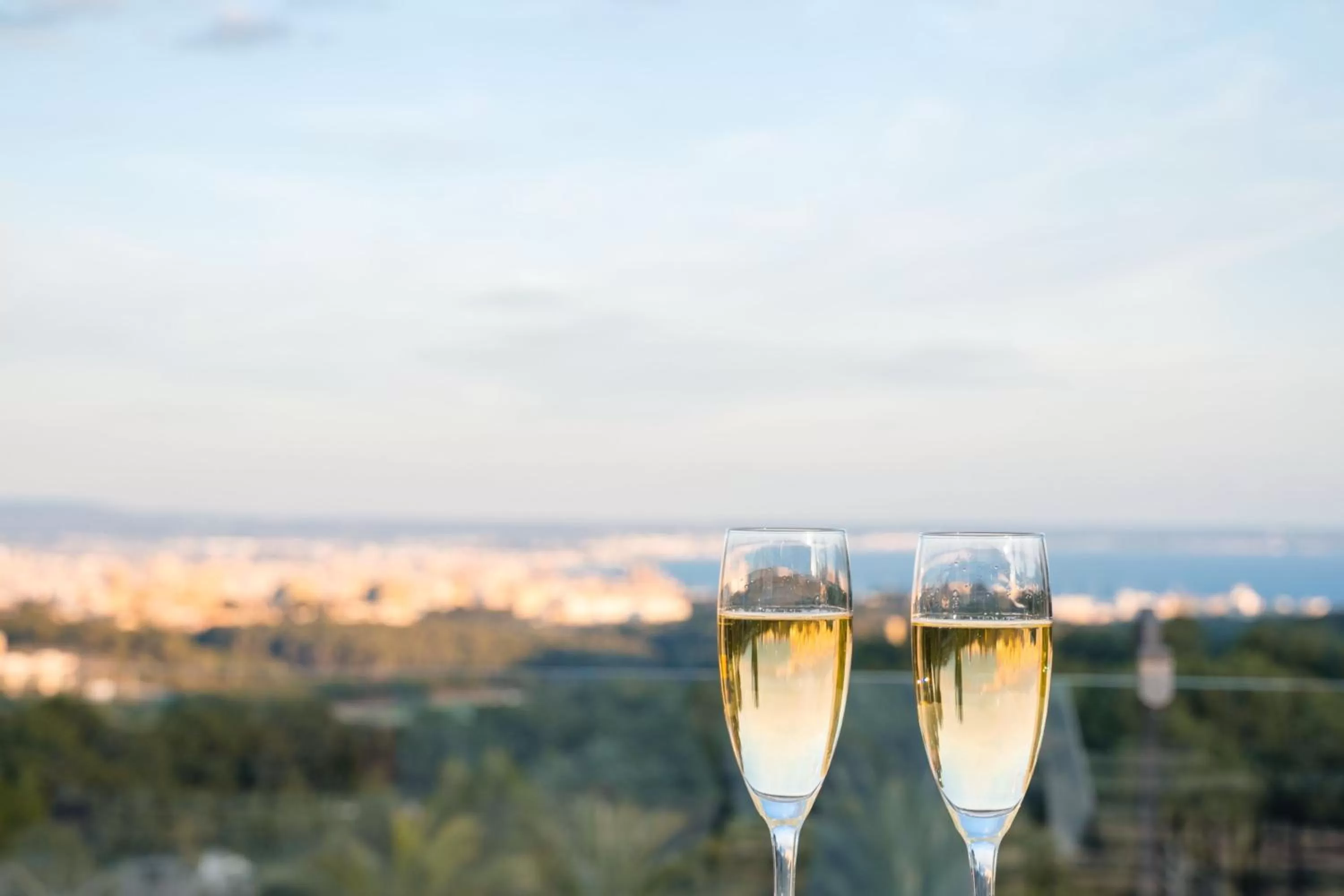 Banquet/Function facilities in Castillo Hotel Son Vida, a Luxury Collection Hotel, Mallorca