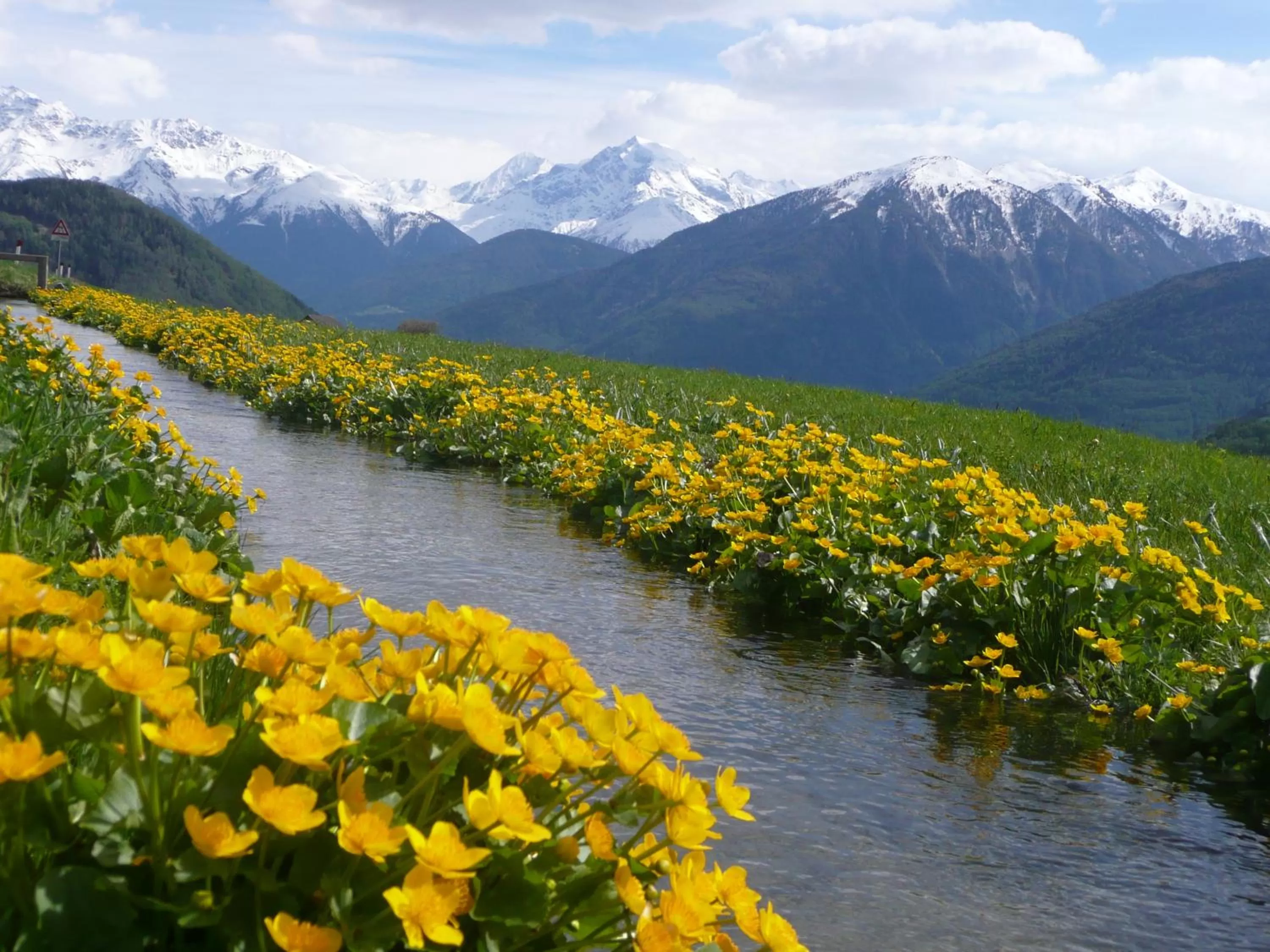 Hiking in Alpengasthof Norbertshöhe Superior