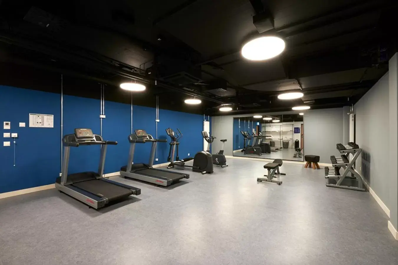 Fitness centre/facilities, Fitness Center/Facilities in Holiday Inn Express & Suites - Basel - Allschwil, an IHG Hotel