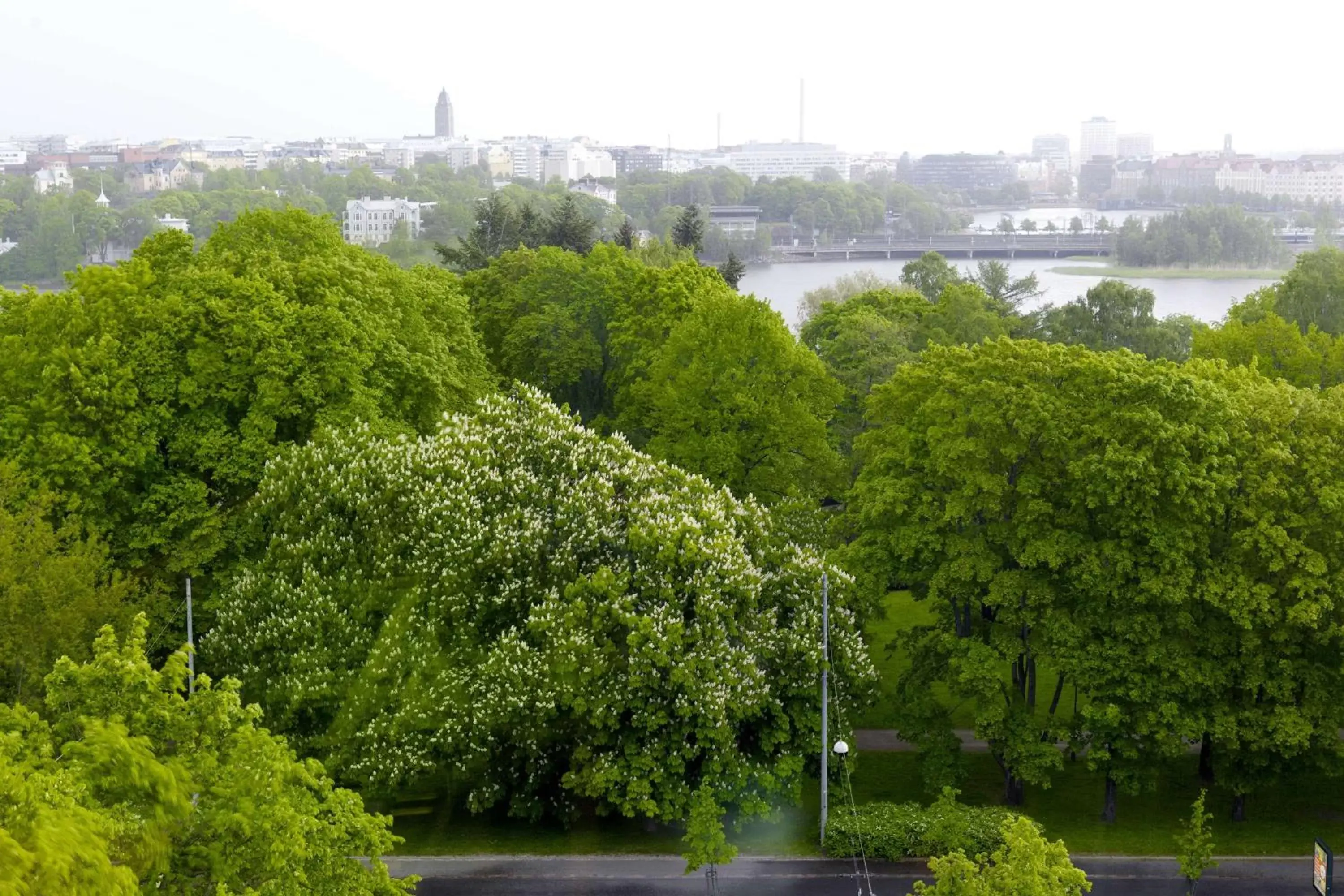 Property building in Scandic Park Helsinki