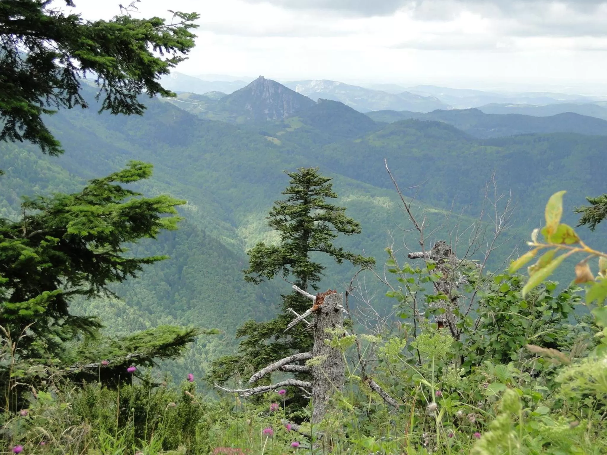 Area and facilities in Hôtel Restaurant Mas Le Châtelet