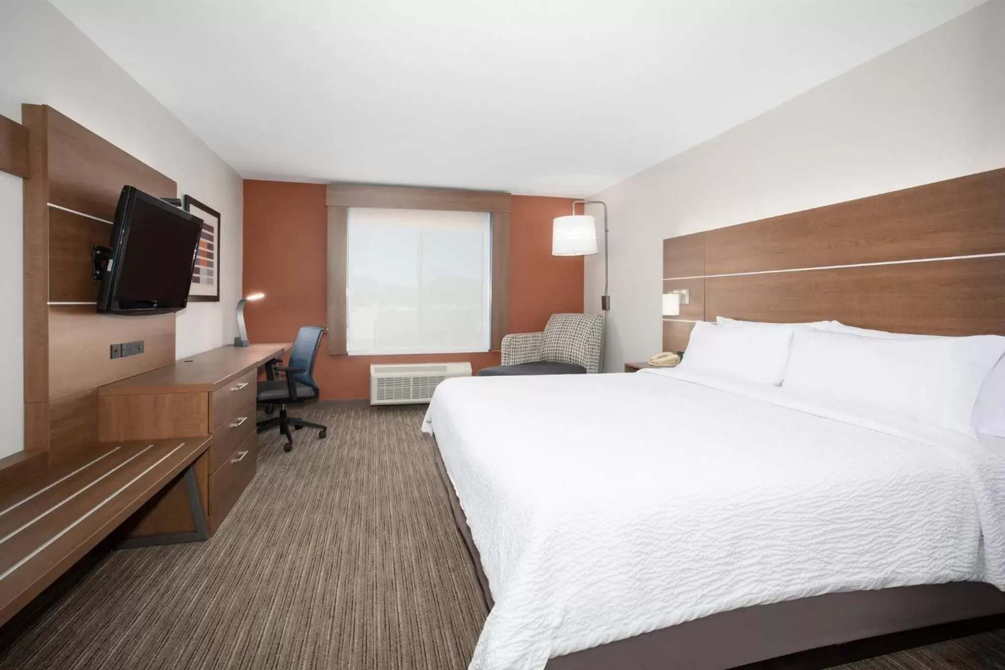 Photo of the whole room in Holiday Inn Express & Suites Tucson, an IHG Hotel